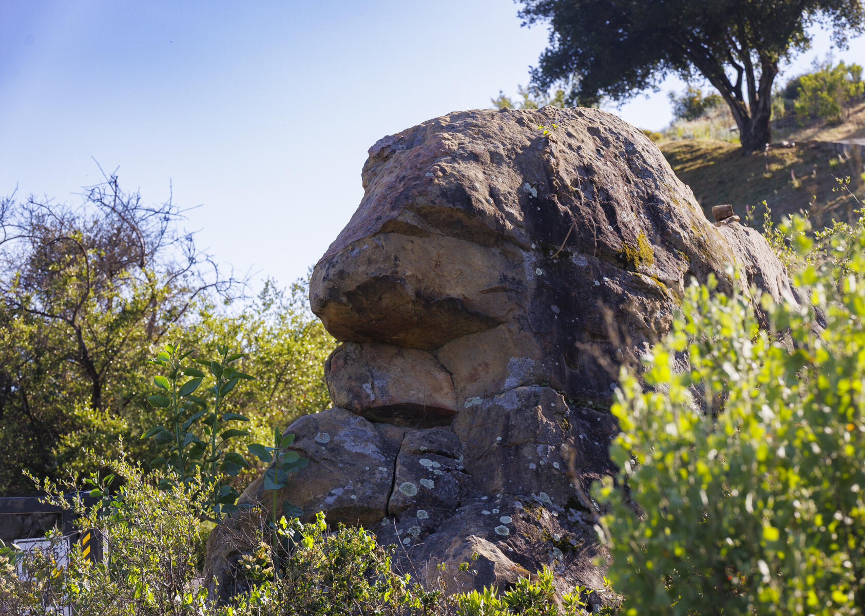 Ojai, California 93023, United States, ,Land,Active,141662