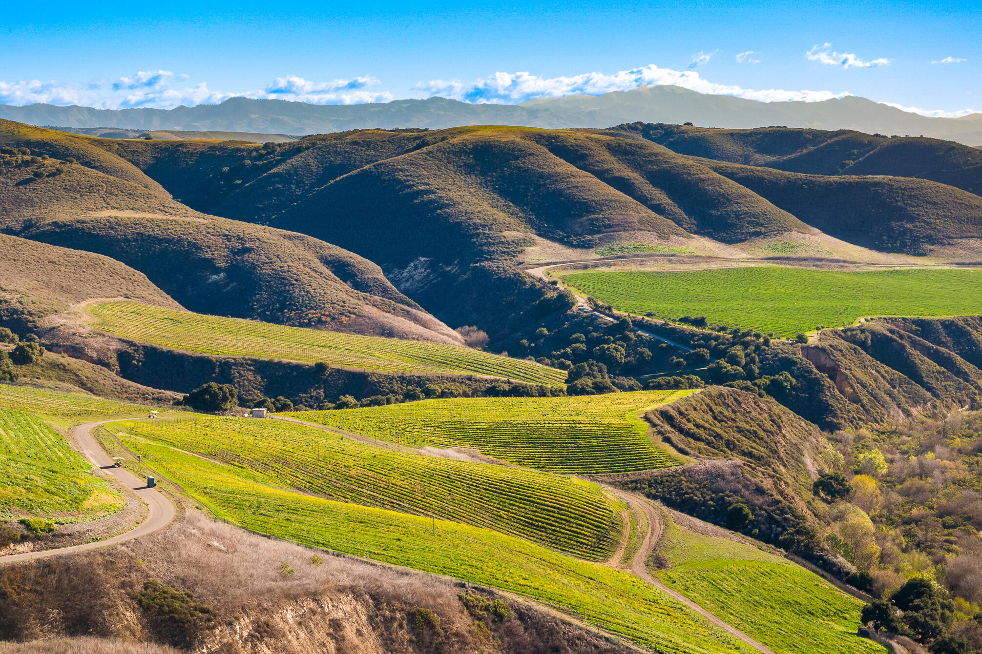 Lompoc, California 93436, United States, ,Commercial,Active,92959