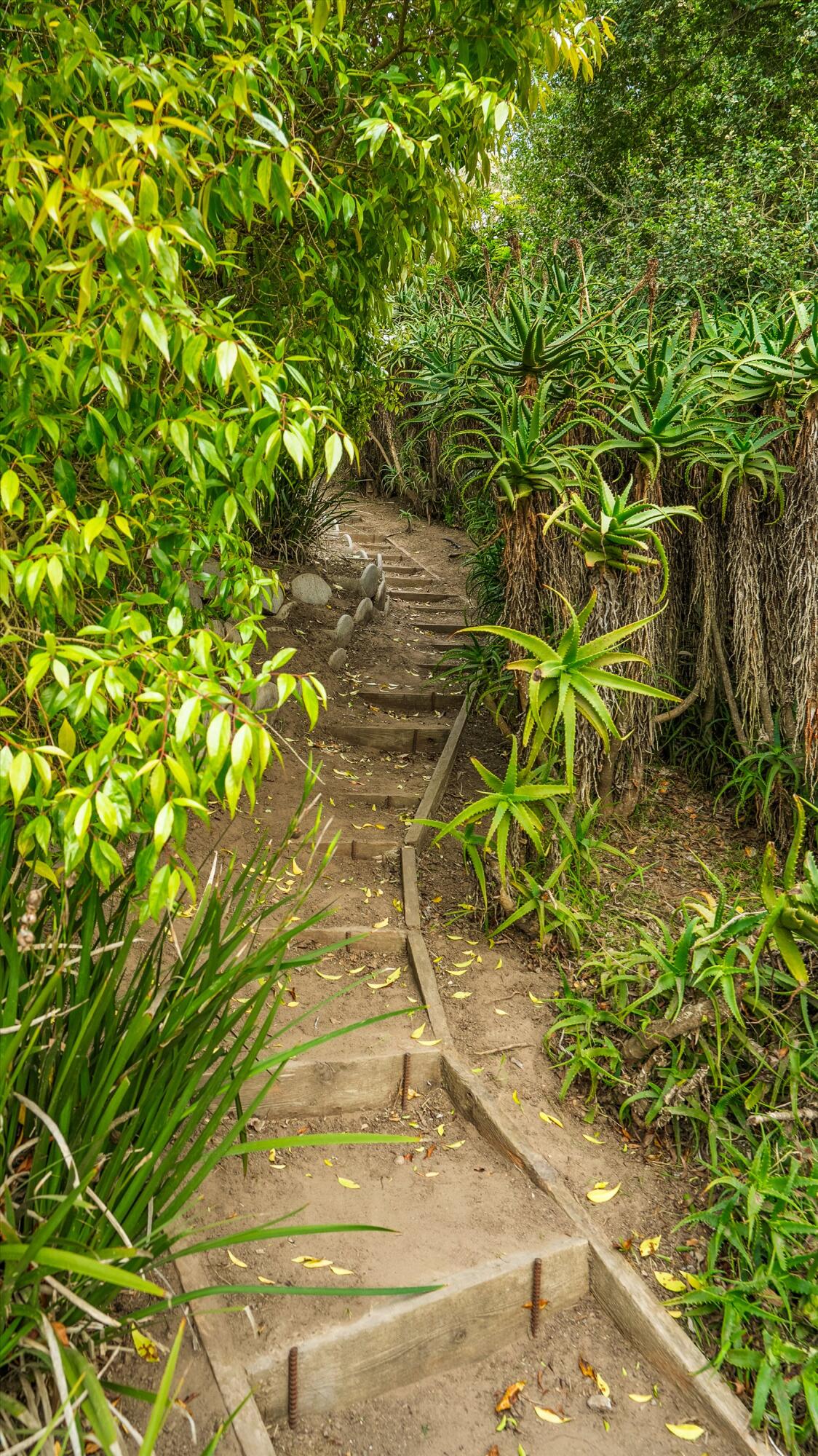 Santa Barbara, California 93109, United States, 3 Bedrooms Bedrooms, ,3 BathroomsBathrooms,Residential,Active,124023