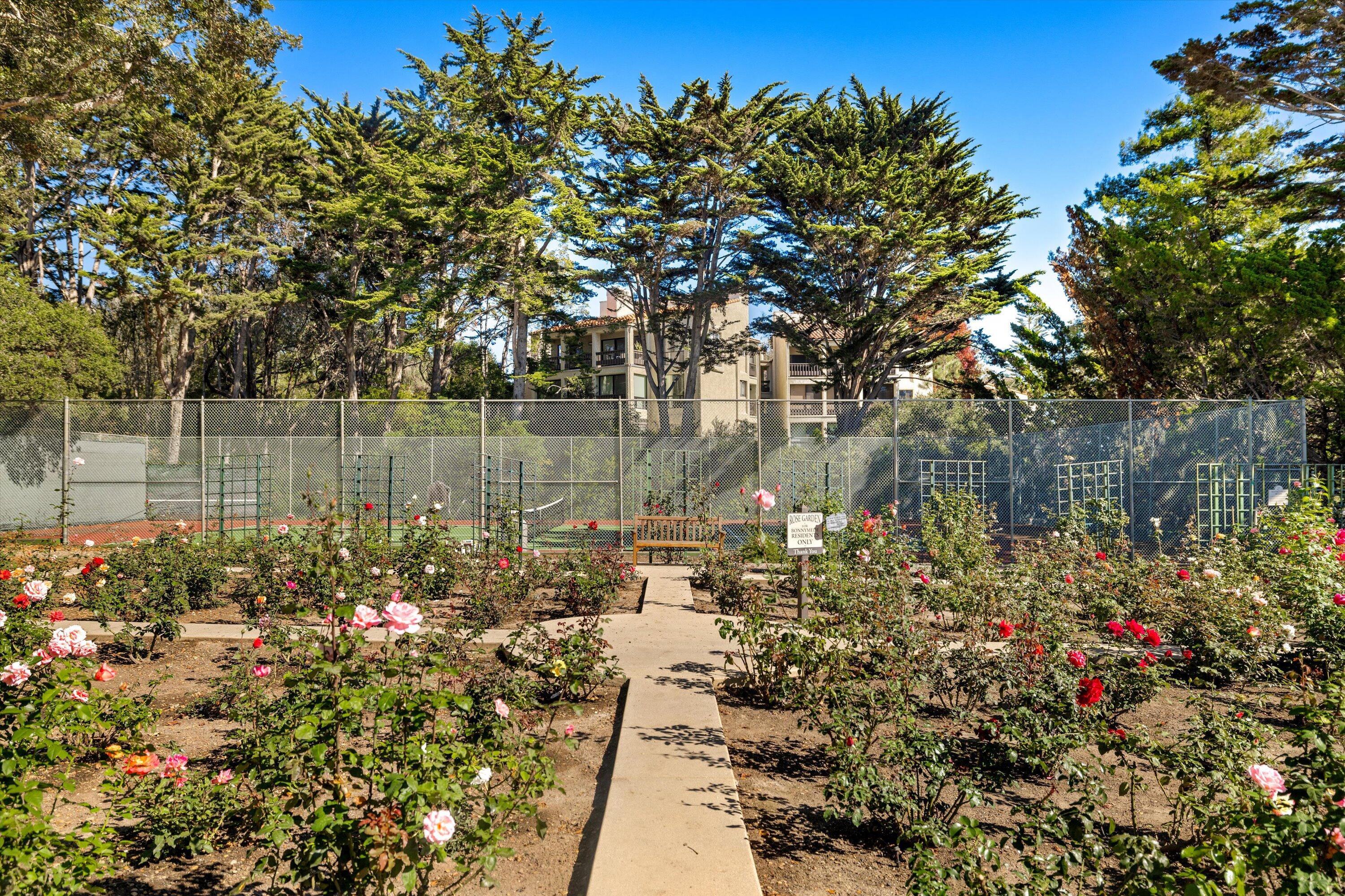 Santa Barbara, California 93108, United States, 1 Bedroom Bedrooms, ,1 BathroomBathrooms,Residential,Active,238087