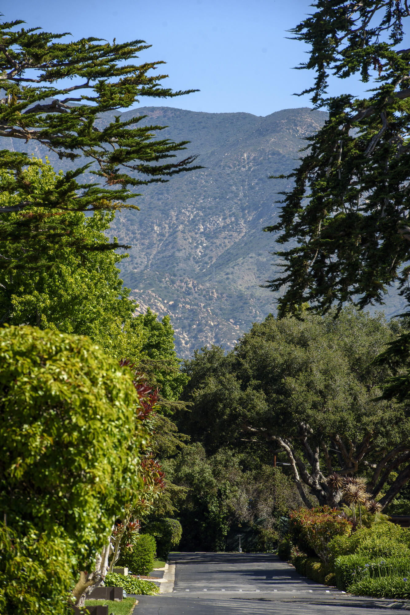 Santa Barbara, California 93108, United States, 1 Bedroom Bedrooms, ,1 BathroomBathrooms,Residential,Active,238087