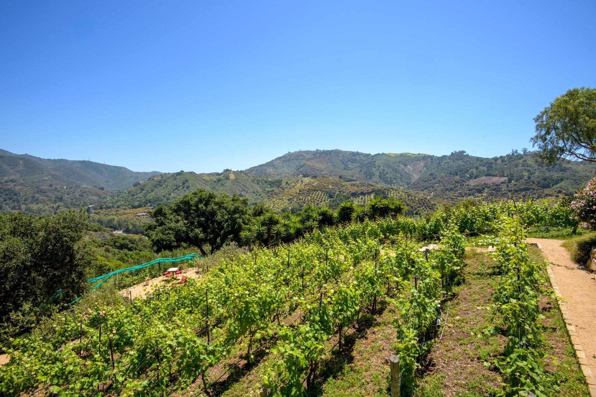 Carpinteria, California 93103, United States, 4 Bedrooms Bedrooms, ,4 BathroomsBathrooms,Residential,Active,146482