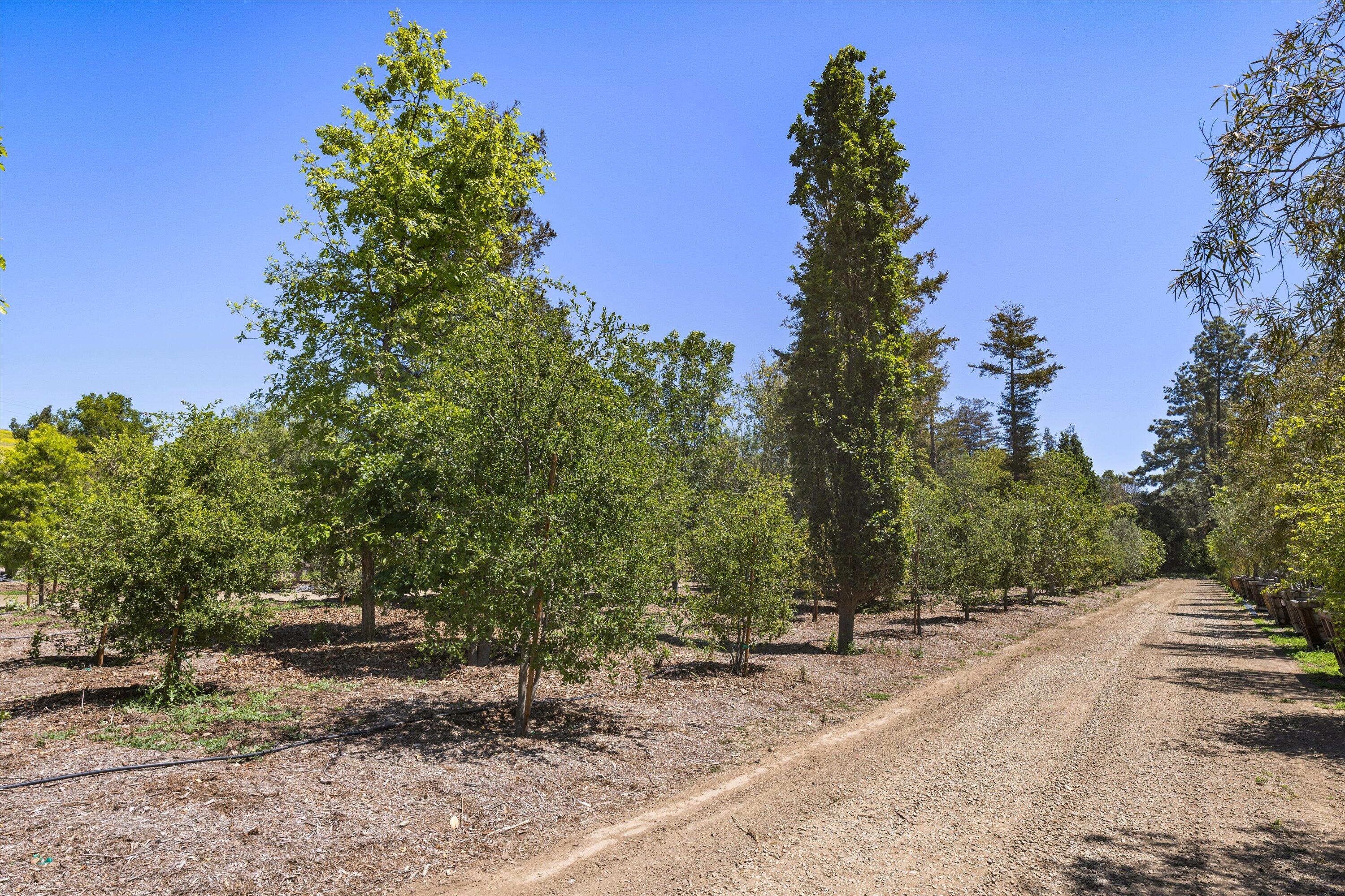 Somis, California 93066, United States, 3 Bedrooms Bedrooms, ,2 BathroomsBathrooms,Residential,Active,142699