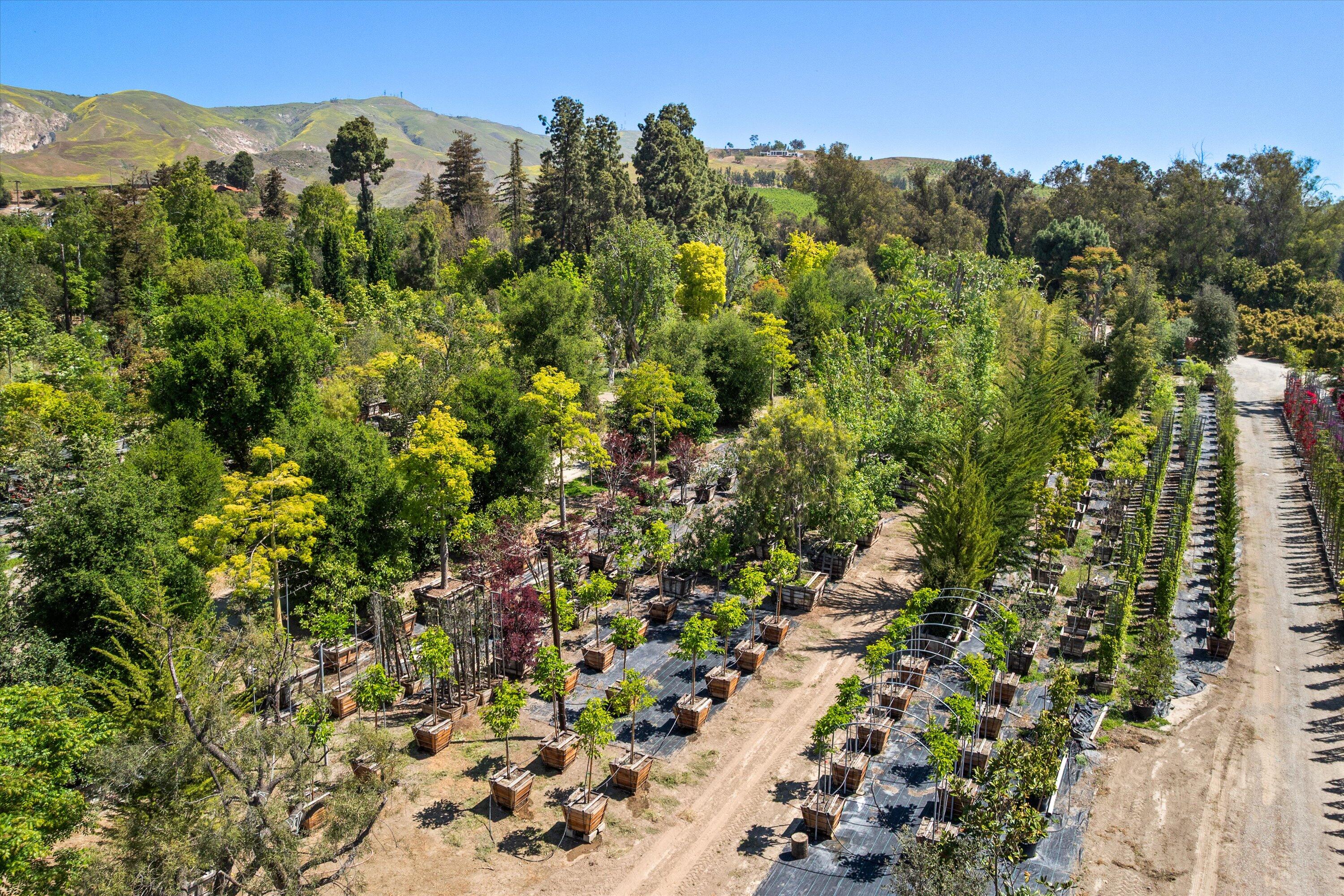 Somis, California 93066, United States, 3 Bedrooms Bedrooms, ,2 BathroomsBathrooms,Residential,Active,142699