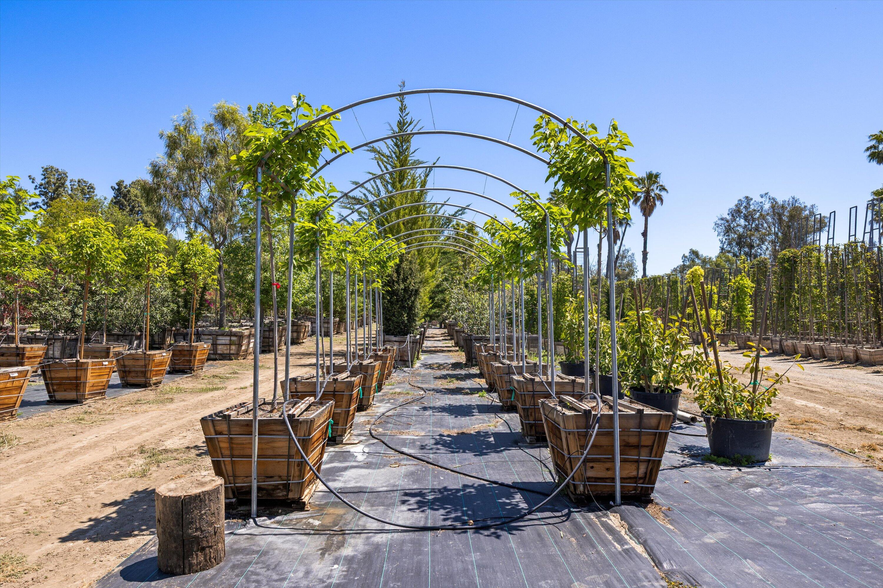 Somis, California 93066, United States, 3 Bedrooms Bedrooms, ,2 BathroomsBathrooms,Residential,Active,142699