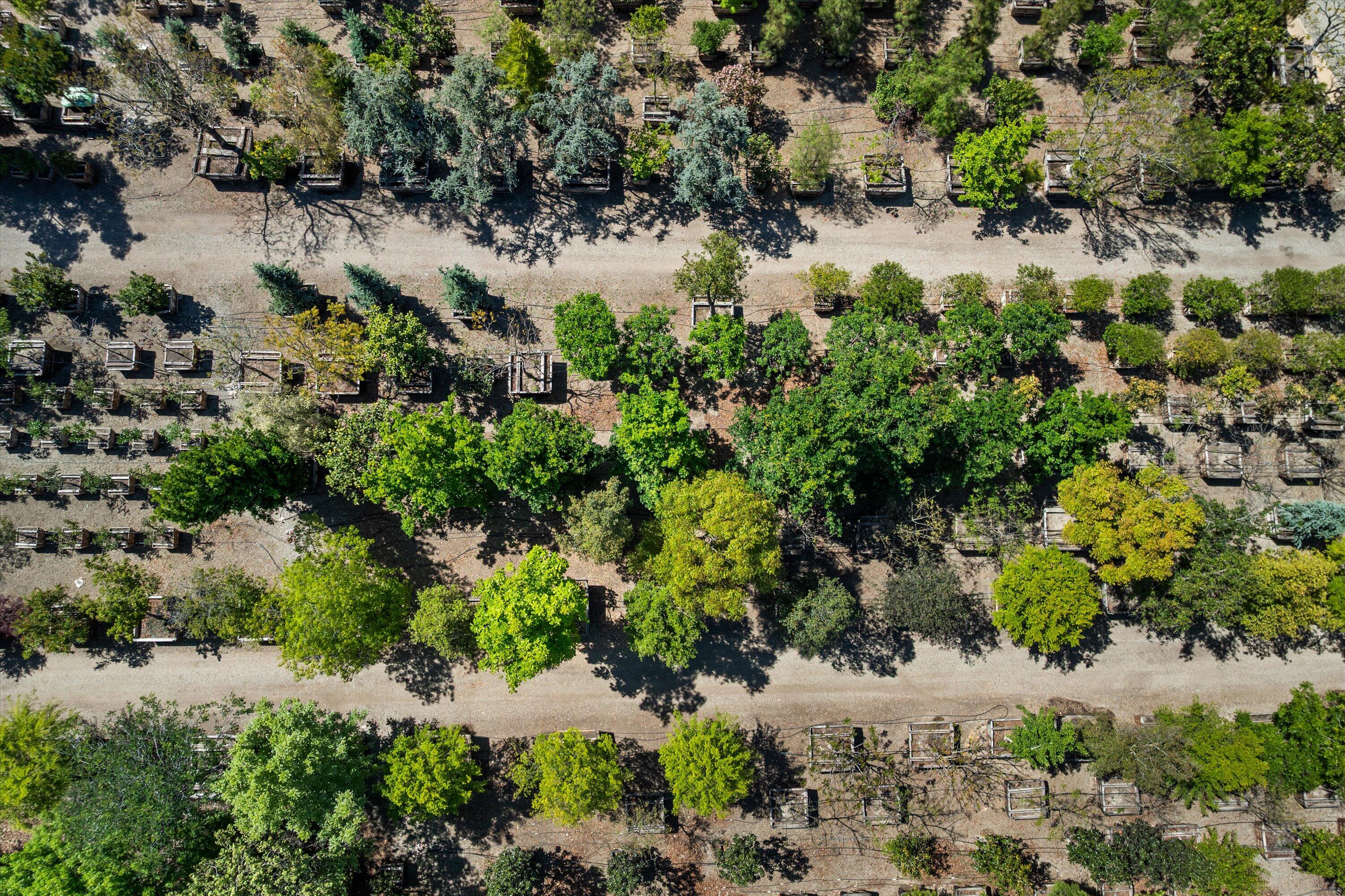 Somis, California 93066, United States, 3 Bedrooms Bedrooms, ,2 BathroomsBathrooms,Residential,Active,142699