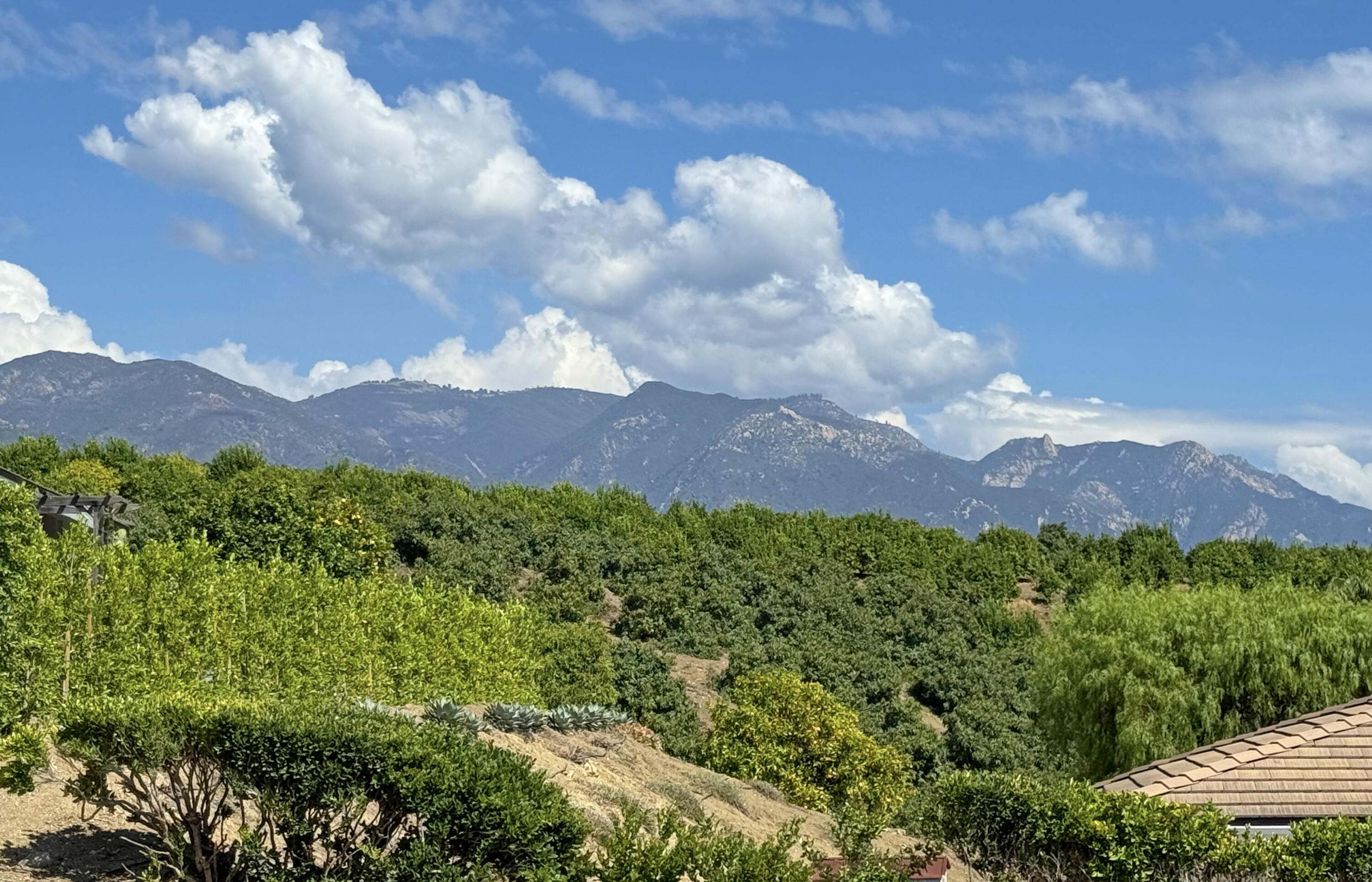 Santa Barbara, California 93111, United States, 4 Bedrooms Bedrooms, ,3 BathroomsBathrooms,Residential,Pending,237516