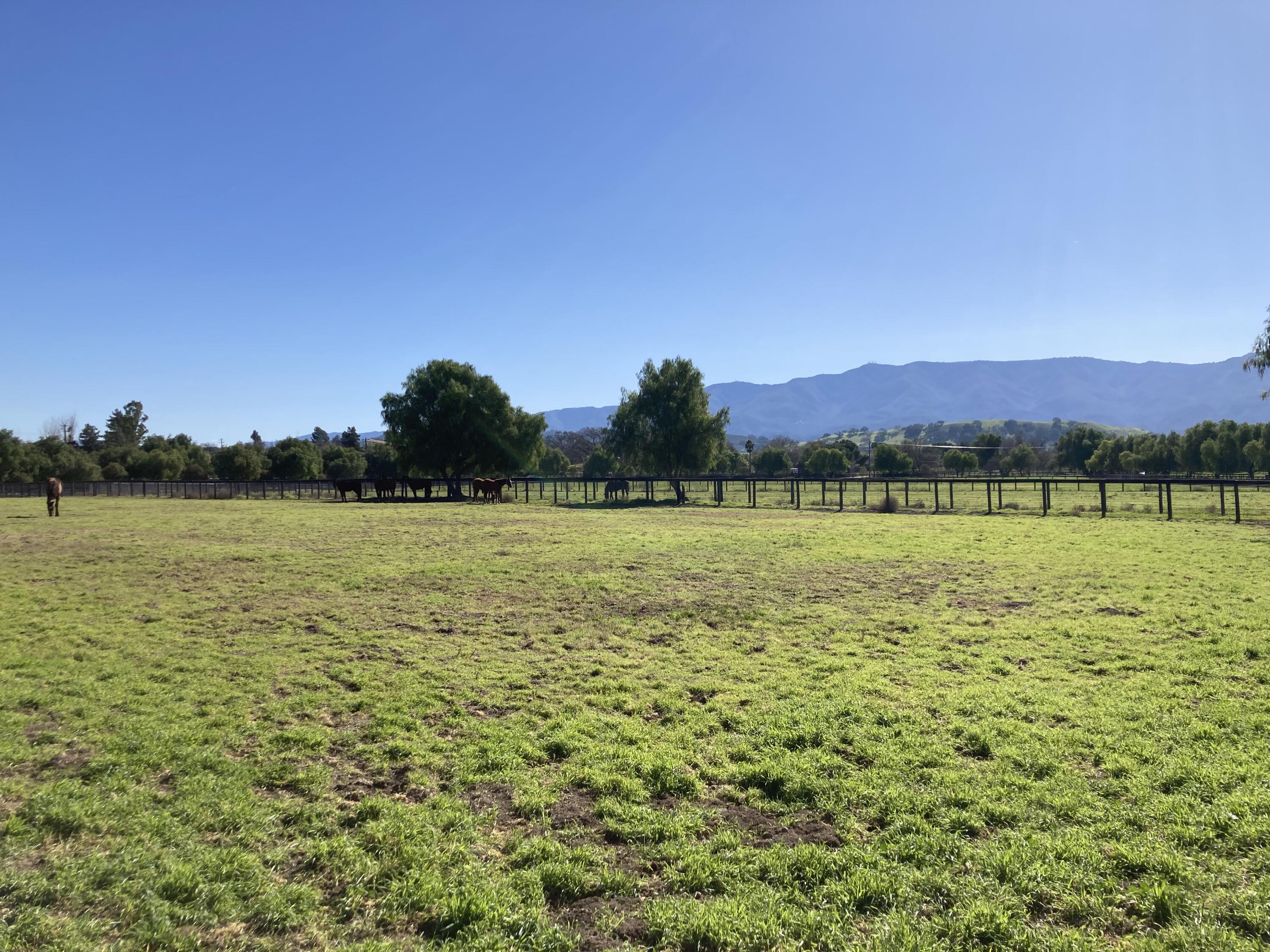 Santa Ynez, California 93460, United States, ,Land,Active,14037