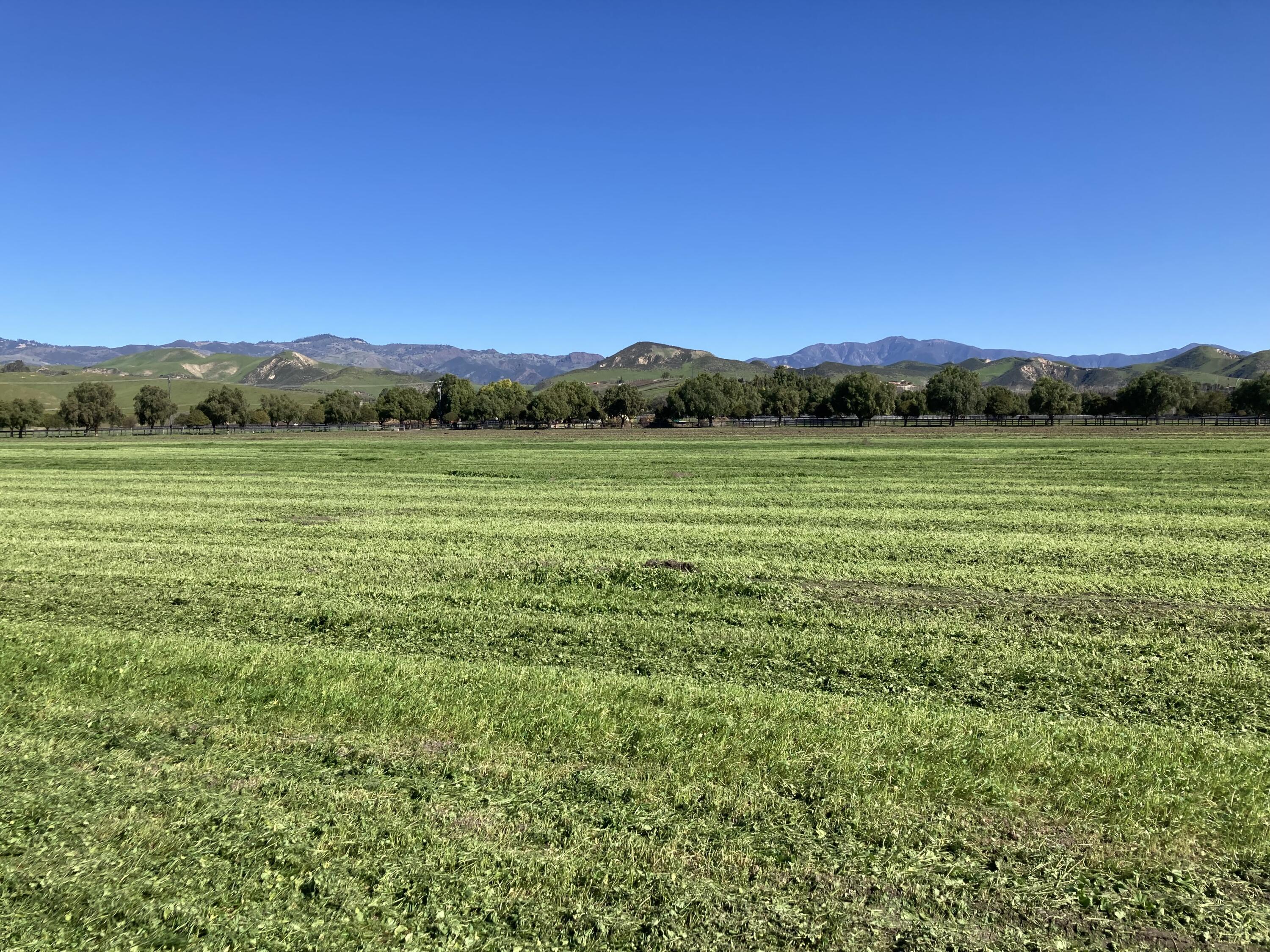 Santa Ynez, California 93460, United States, ,Land,Active,14037