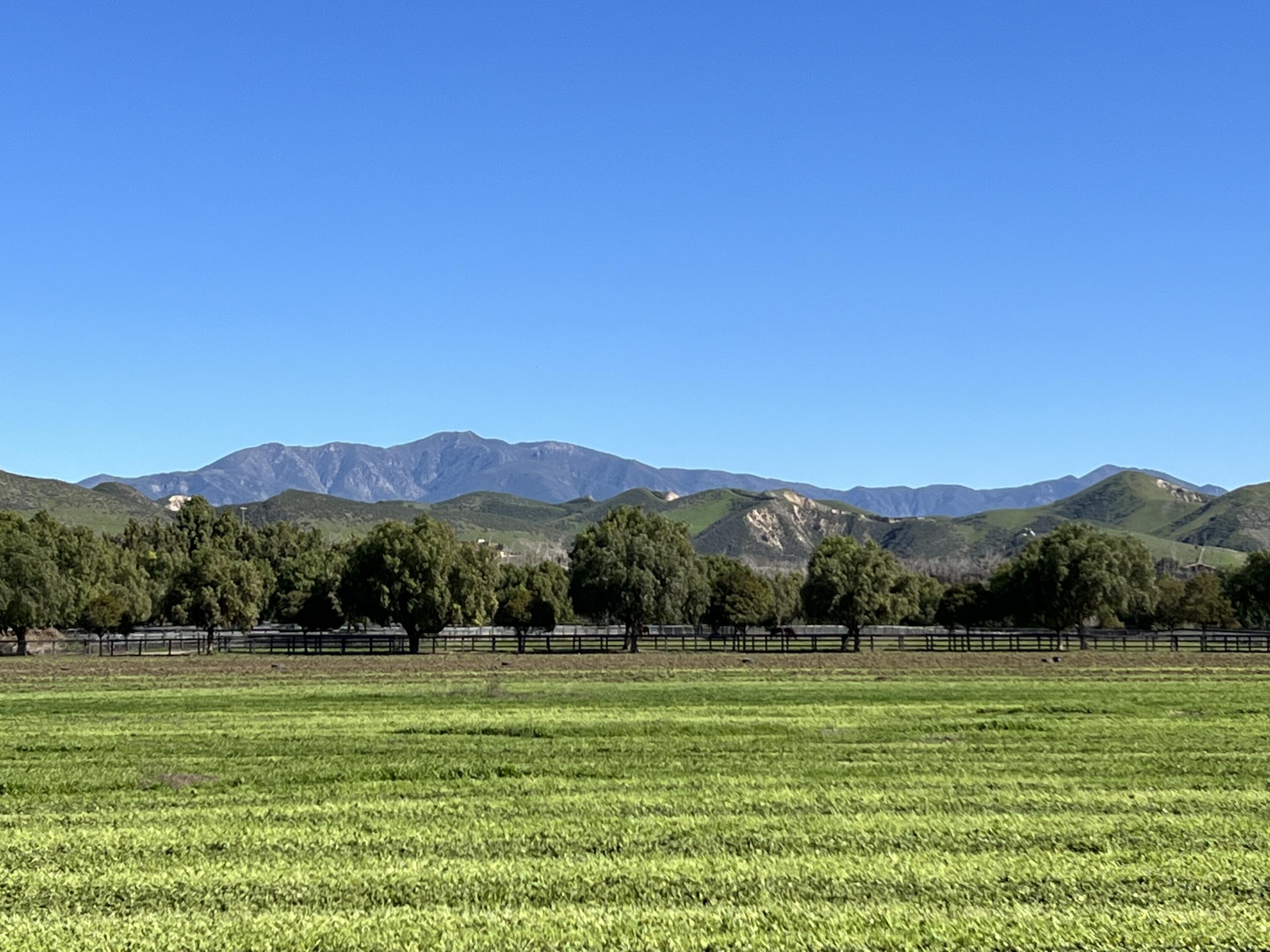 Santa Ynez, California 93460, United States, ,Land,Active,14037