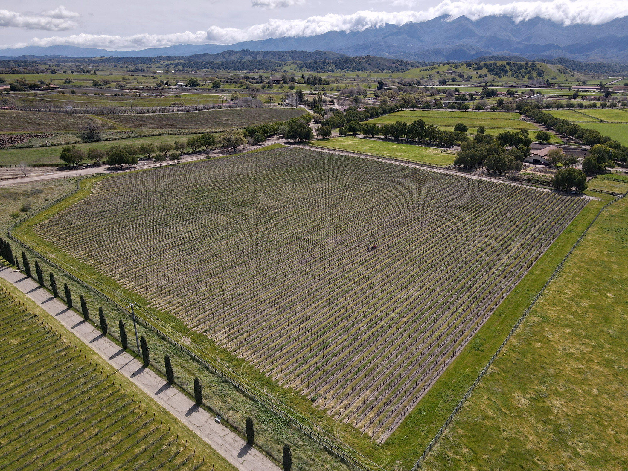 Santa Ynez, California 93460, United States, ,Land,Active,14037