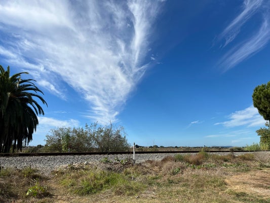 910 PEAR ST, CARPINTERIA, CA 93013 - Image bce86bdf5d3fd3f5556025e88fb946b2/448619202