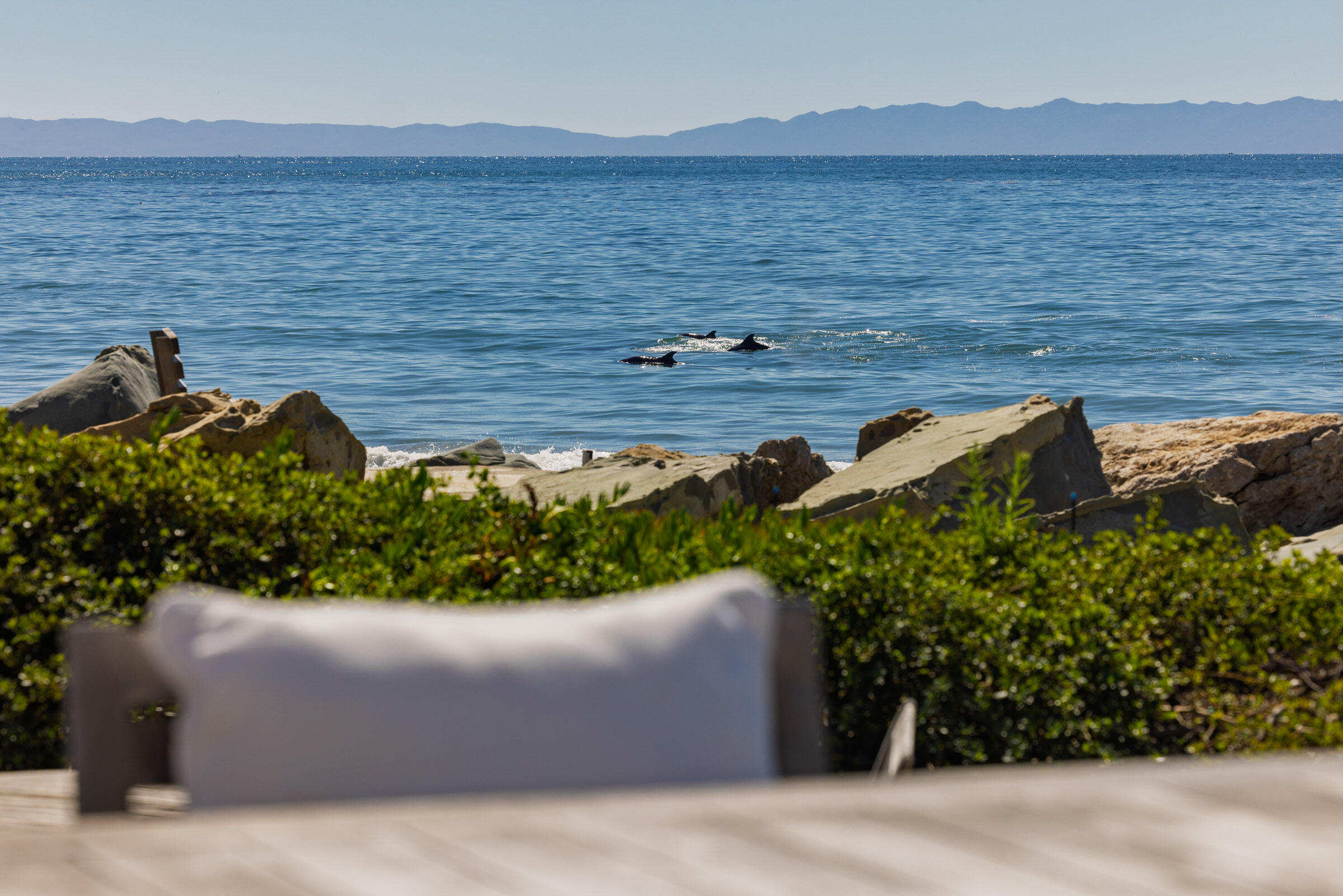 Carpinteria, California 93013, United States, 4 Bedrooms Bedrooms, ,5 BathroomsBathrooms,Residential,Active,238307