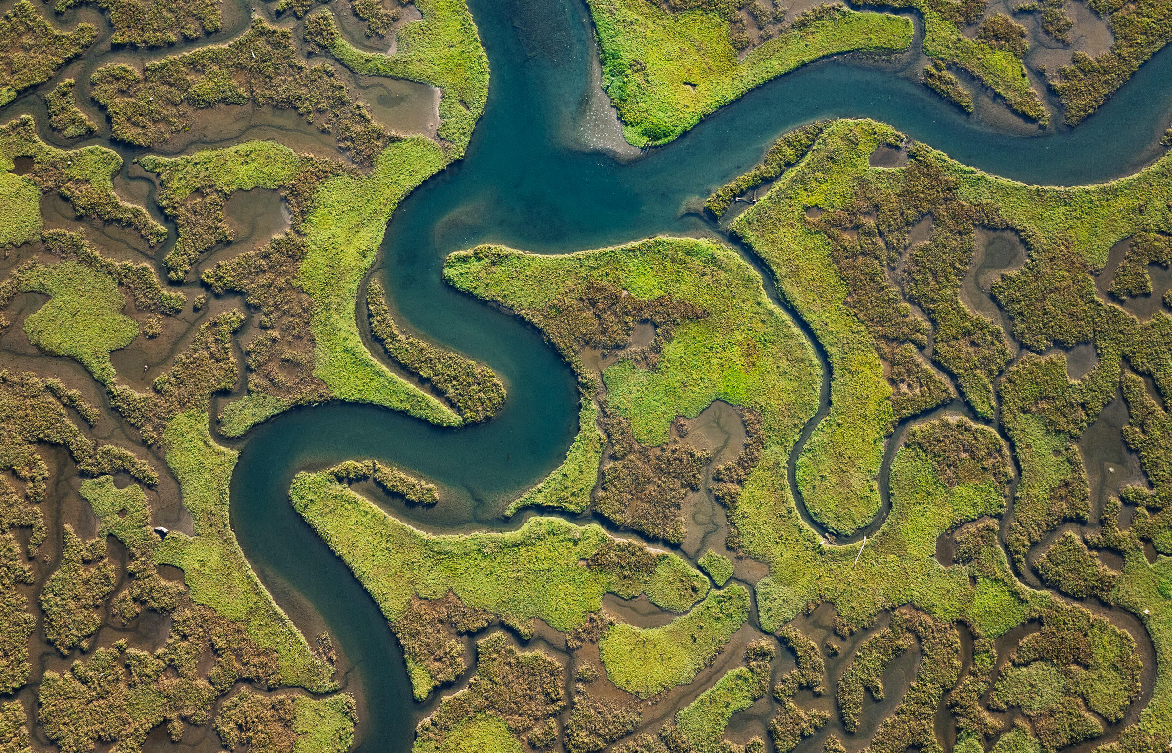 Carpinteria, California 93013, United States, 4 Bedrooms Bedrooms, ,5 BathroomsBathrooms,Residential,Active,238307