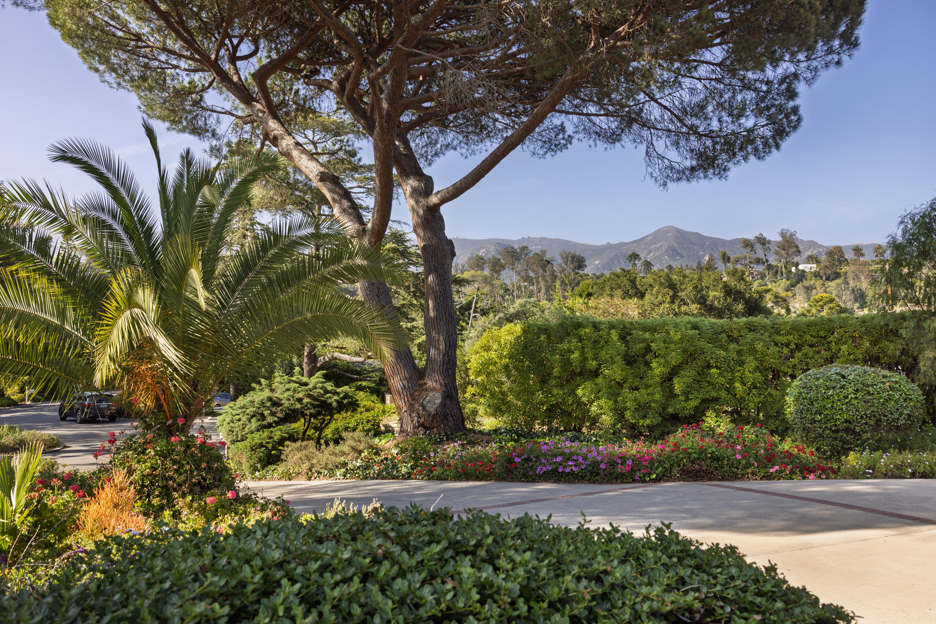 733 Woodland Drive