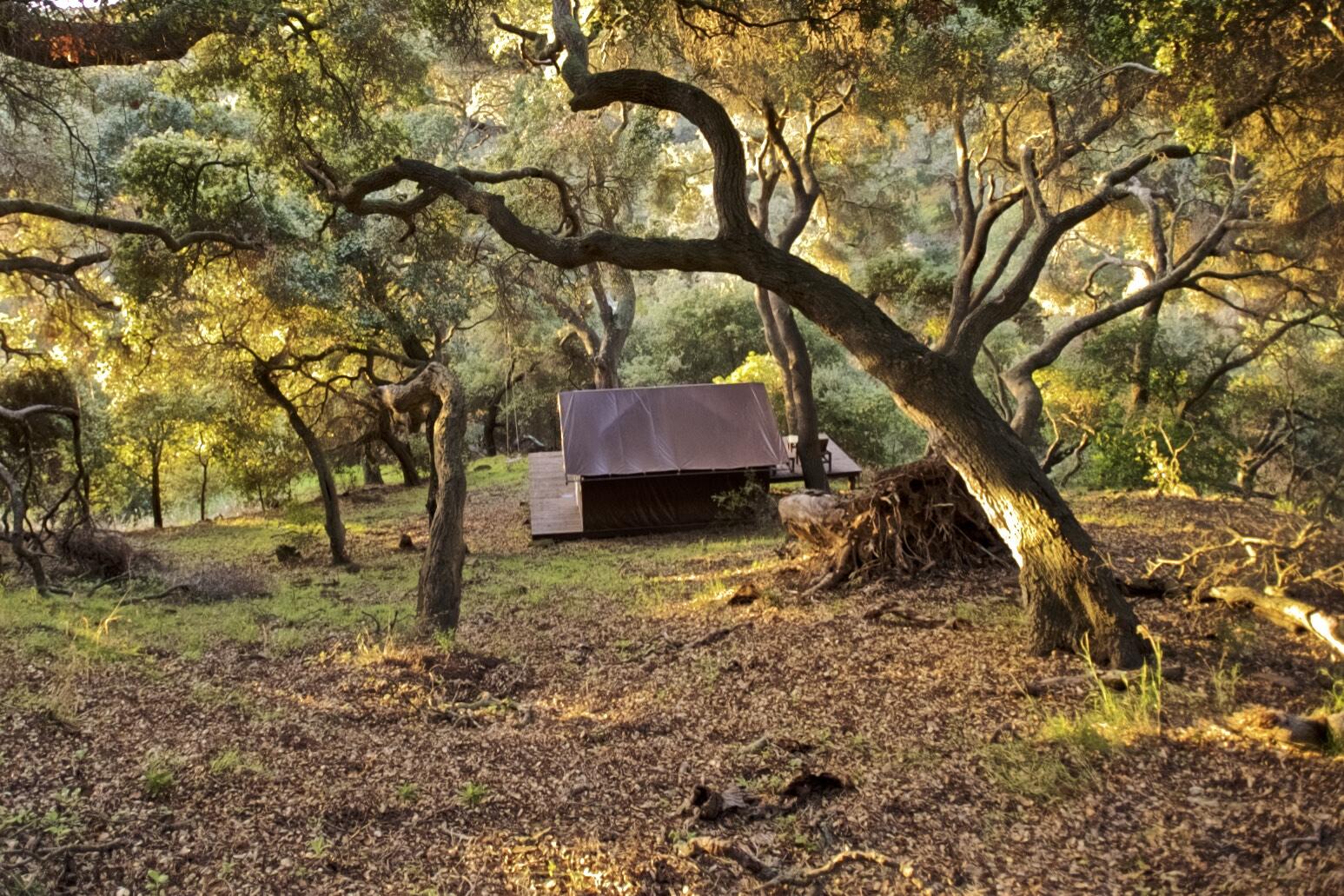 Goleta, California 93117, United States, 1 Bedroom Bedrooms, ,1 BathroomBathrooms,Residential,Active,72712