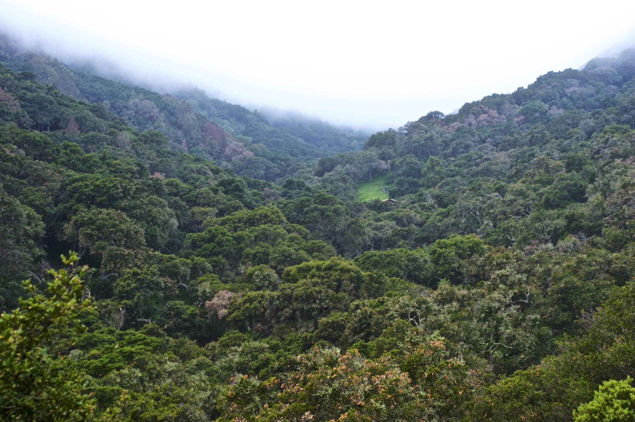 Goleta, California 93117, United States, 1 Bedroom Bedrooms, ,1 BathroomBathrooms,Residential,Active,72712