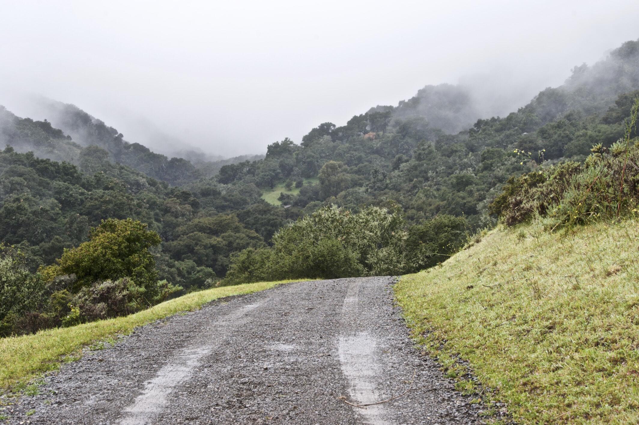 Goleta, California 93117, United States, 1 Bedroom Bedrooms, ,1 BathroomBathrooms,Residential,Active,72712