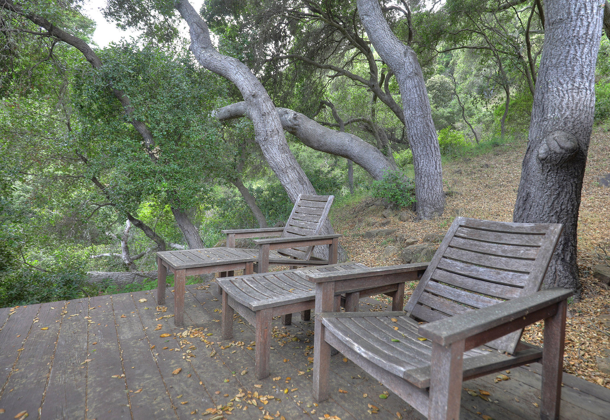 Goleta, California 93117, United States, 1 Bedroom Bedrooms, ,1 BathroomBathrooms,Residential,Active,72712