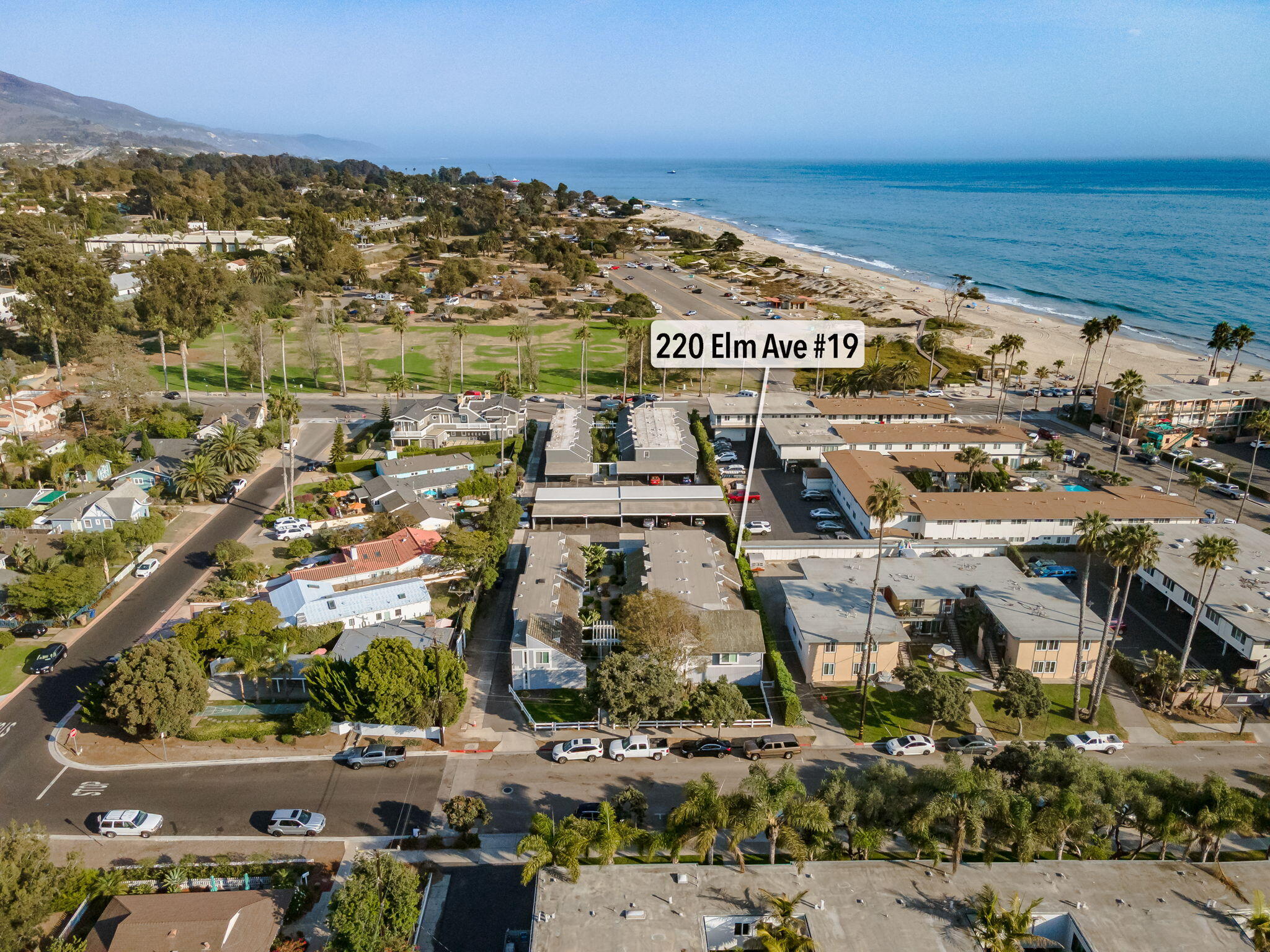 220 Elm Avenue Apt 19
