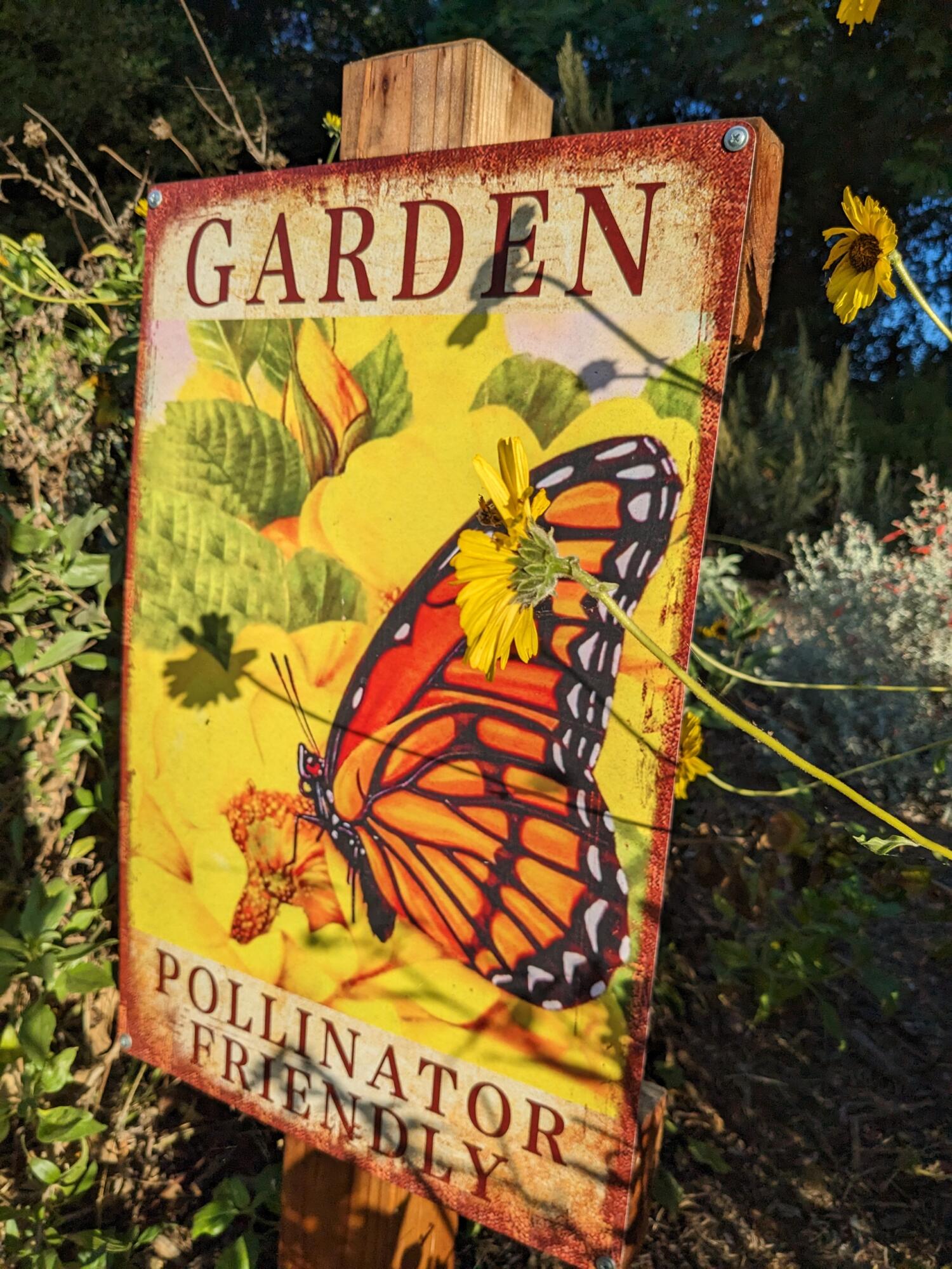 Goleta, California 93117, United States, 1 Bedroom Bedrooms, ,1 BathroomBathrooms,Residential,Active,108725