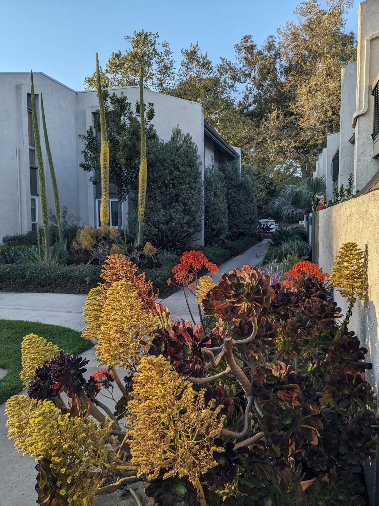 Goleta, California 93117, United States, 1 Bedroom Bedrooms, ,1 BathroomBathrooms,Residential,Active,108725