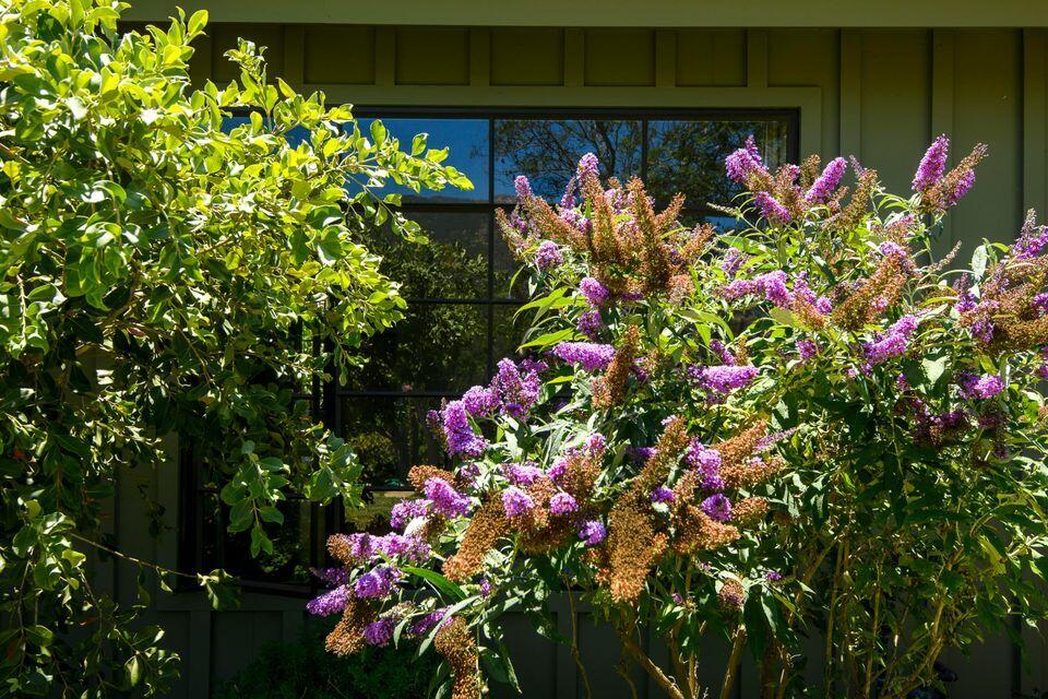 Montecito, California 93108, United States, 3 Bedrooms Bedrooms, ,3 BathroomsBathrooms,Residential,Active,153530