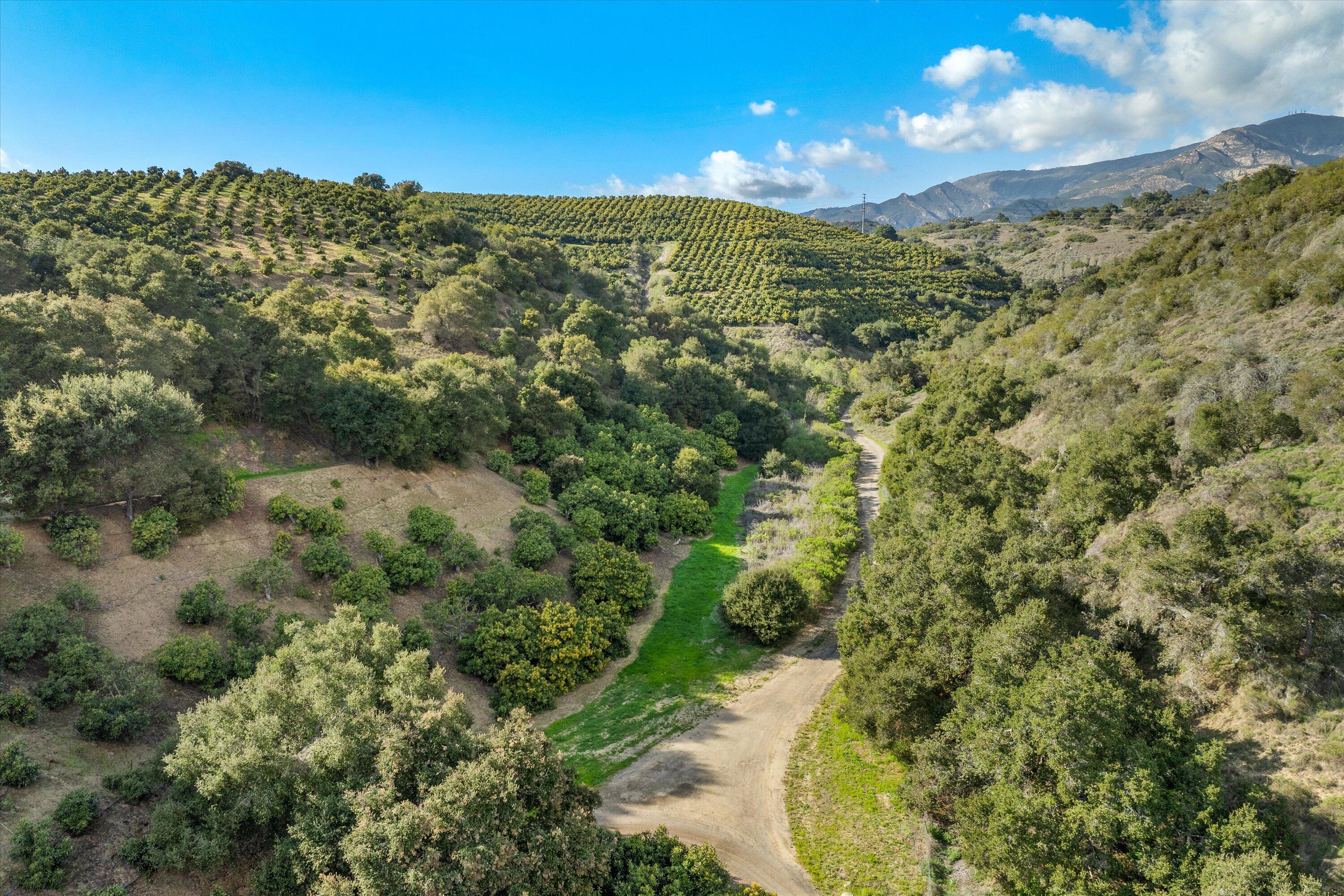 Goleta, California 93117, United States, 1 Bedroom Bedrooms, ,1 BathroomBathrooms,Residential,Active,95646