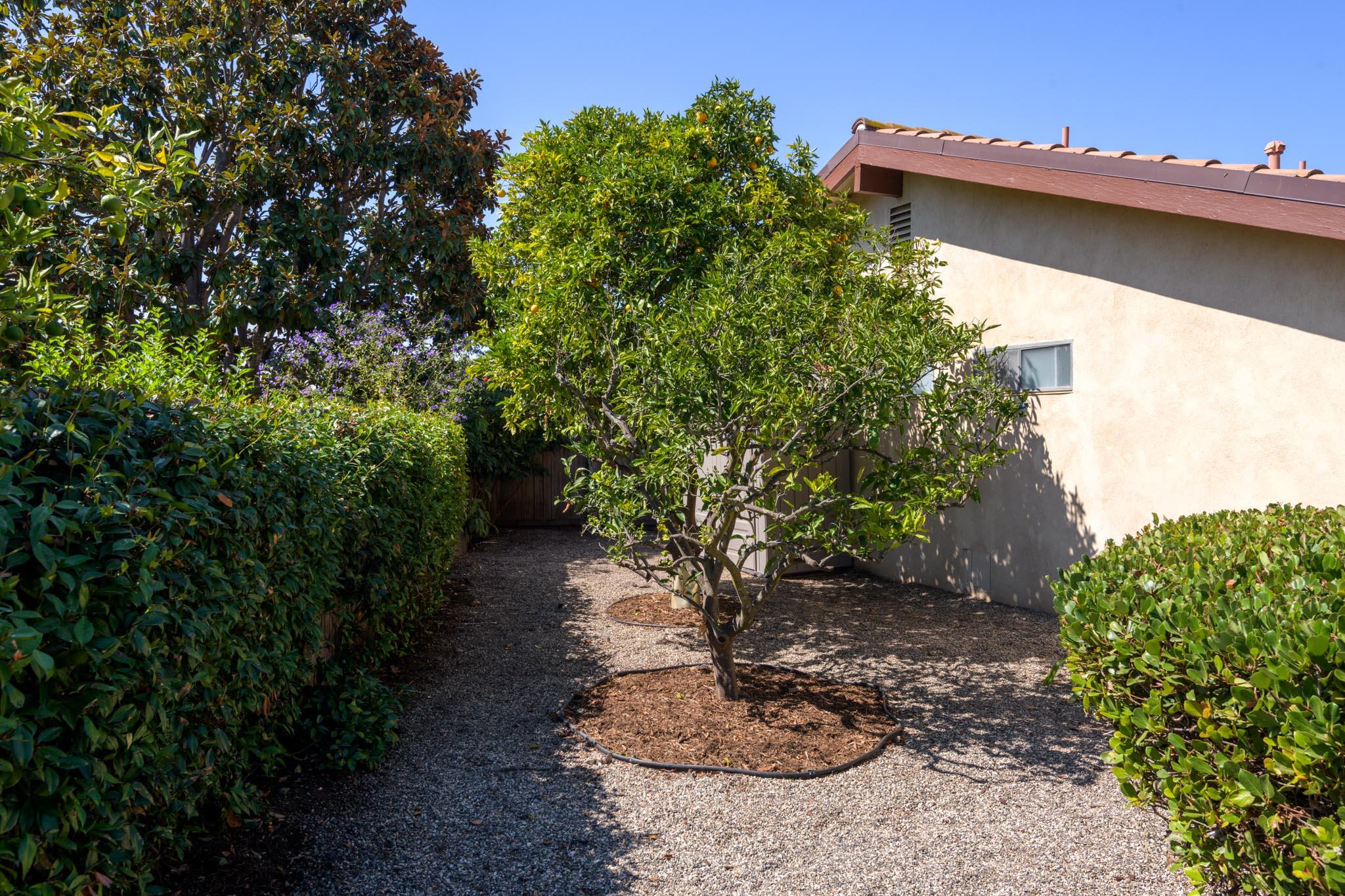 Santa Barbara, California 93111, United States, 4 Bedrooms Bedrooms, ,2 BathroomsBathrooms,Residential,Pending,216464