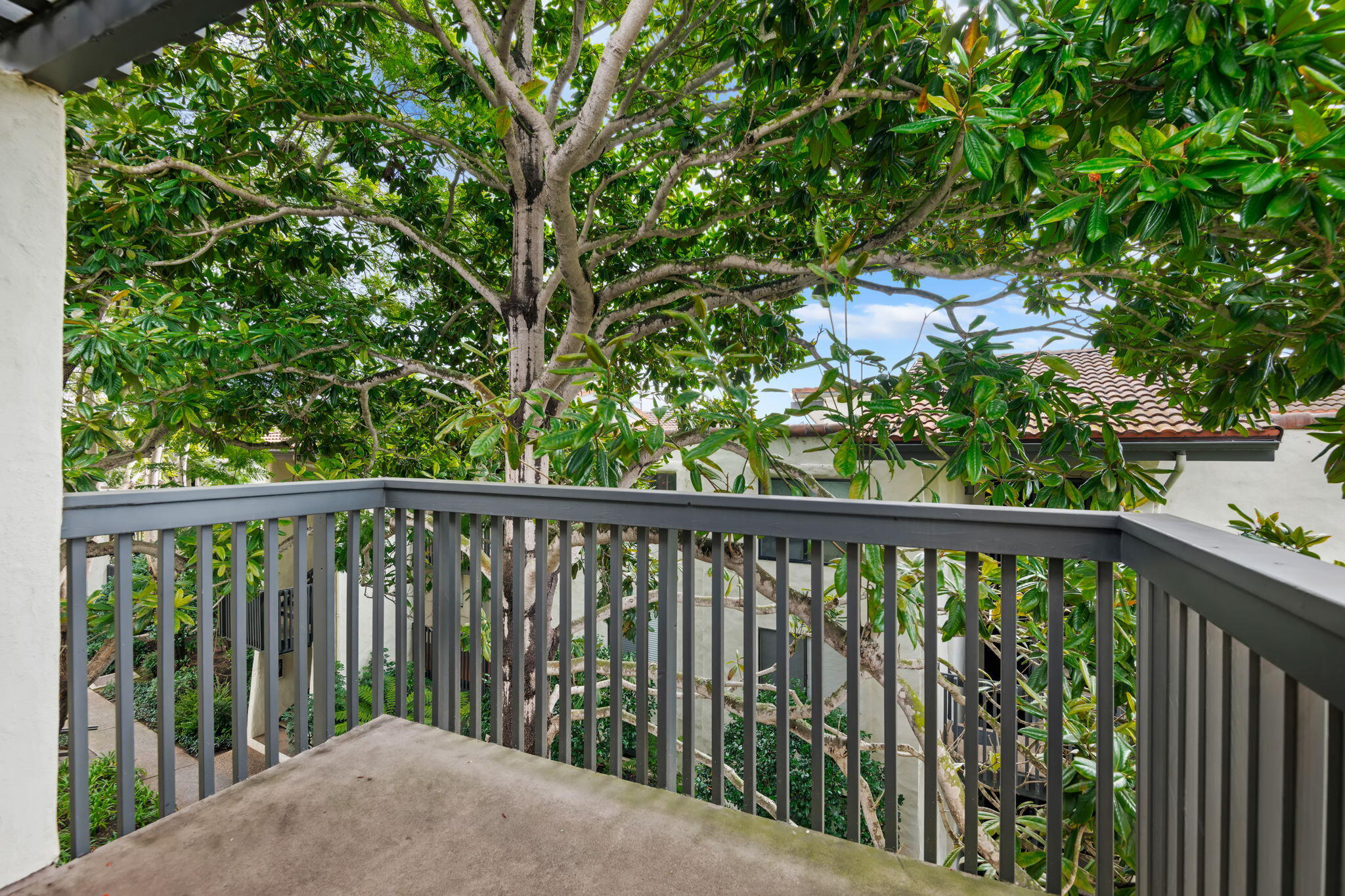 Carpinteria, California 93013, United States, 2 Bedrooms Bedrooms, ,2 BathroomsBathrooms,Residential,Active,6209