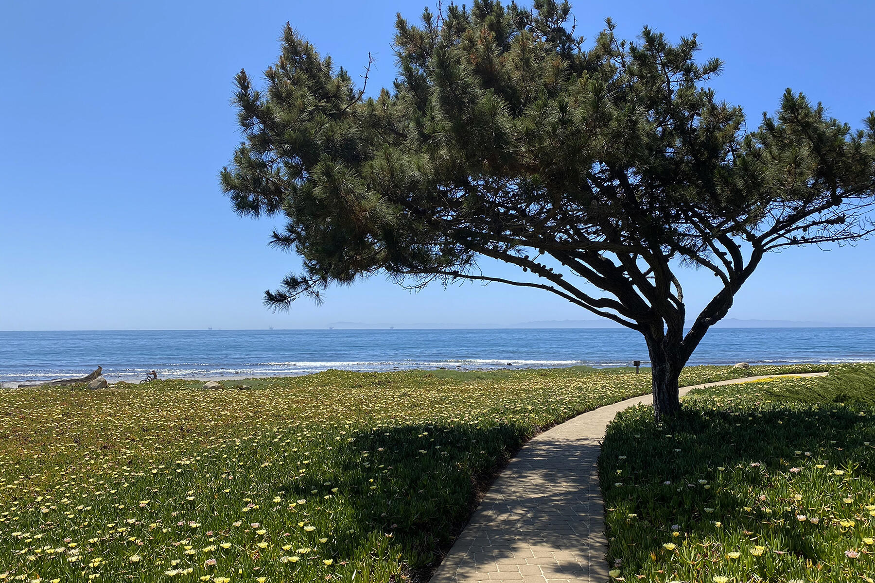 Santa Barbara, California 93108, United States, 2 Bedrooms Bedrooms, ,2 BathroomsBathrooms,Residential,Active,152860