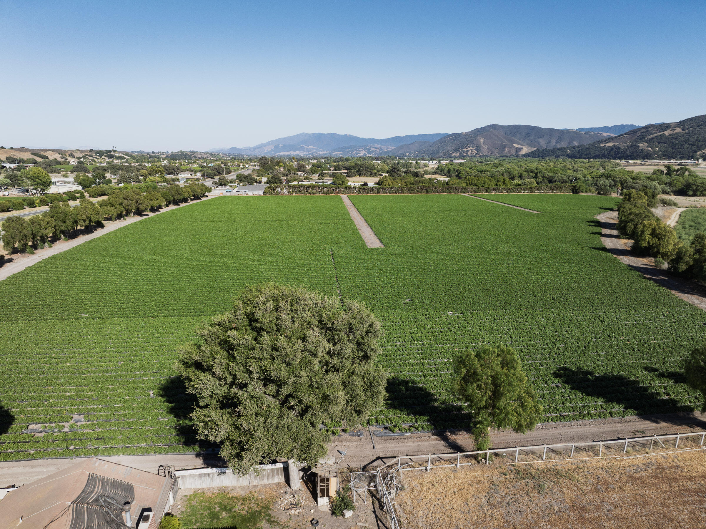 Buellton, California 93427, United States, 3 Bedrooms Bedrooms, ,3 BathroomsBathrooms,Residential,Active,193601