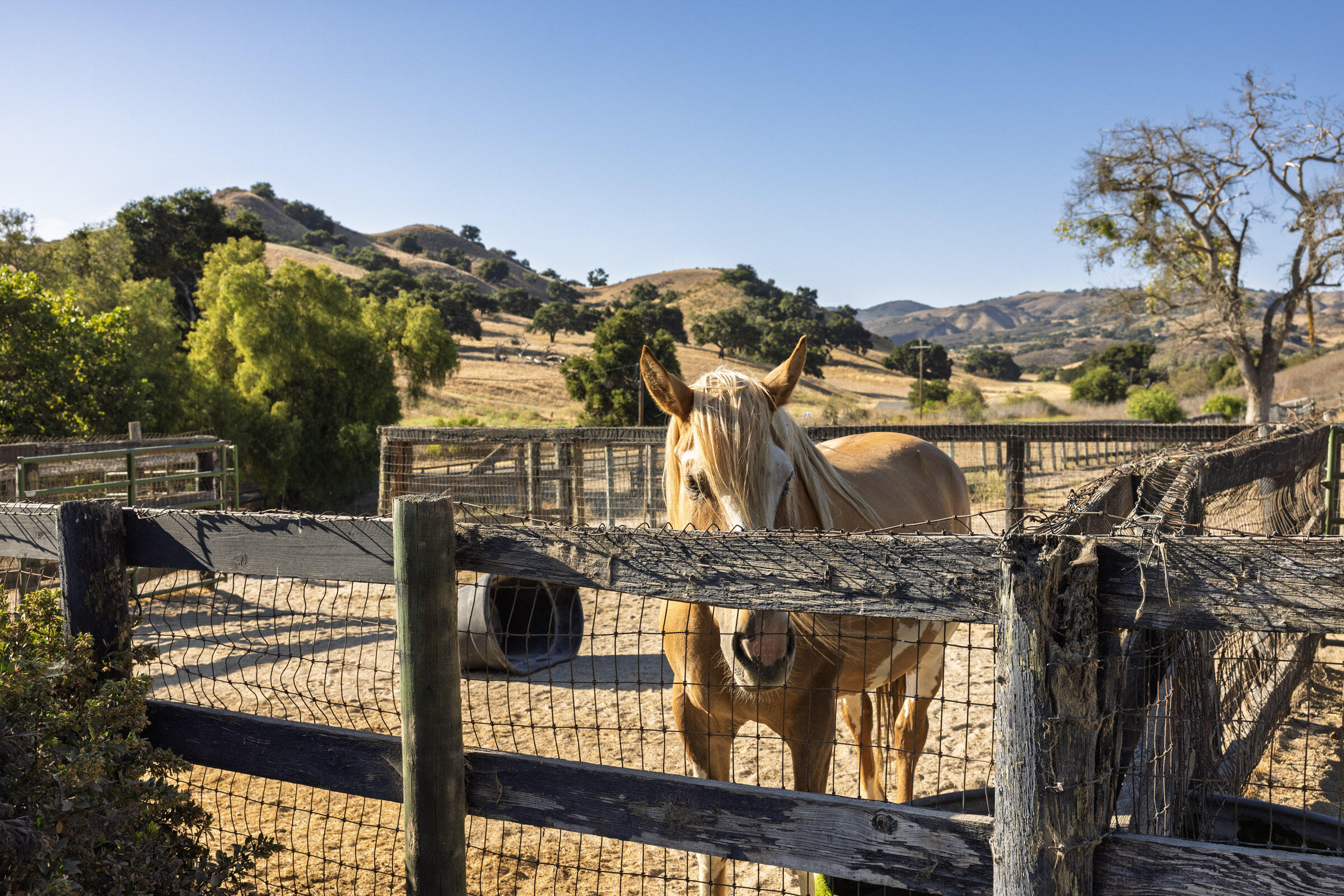 Buellton, California 93427, United States, 3 Bedrooms Bedrooms, ,3 BathroomsBathrooms,Residential,Active,193601