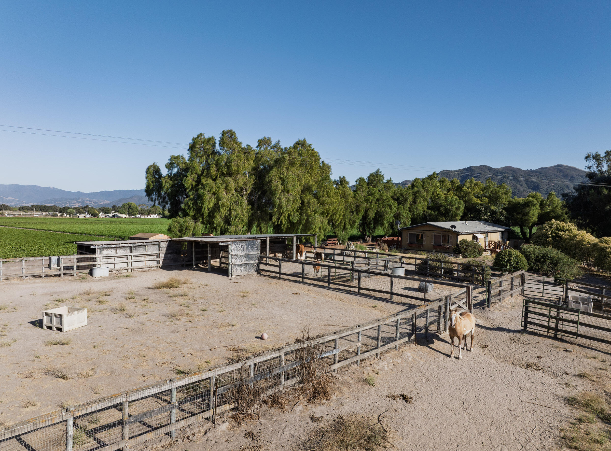 Buellton, California 93427, United States, 3 Bedrooms Bedrooms, ,3 BathroomsBathrooms,Residential,Active,193601