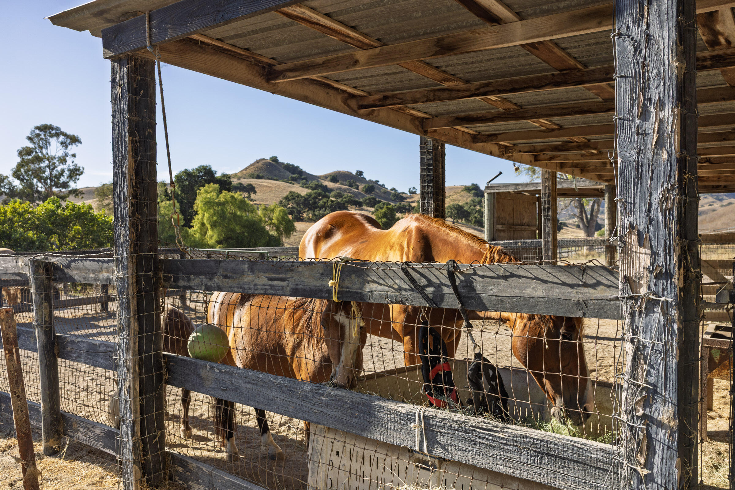 Buellton, California 93427, United States, 3 Bedrooms Bedrooms, ,3 BathroomsBathrooms,Residential,Active,193601