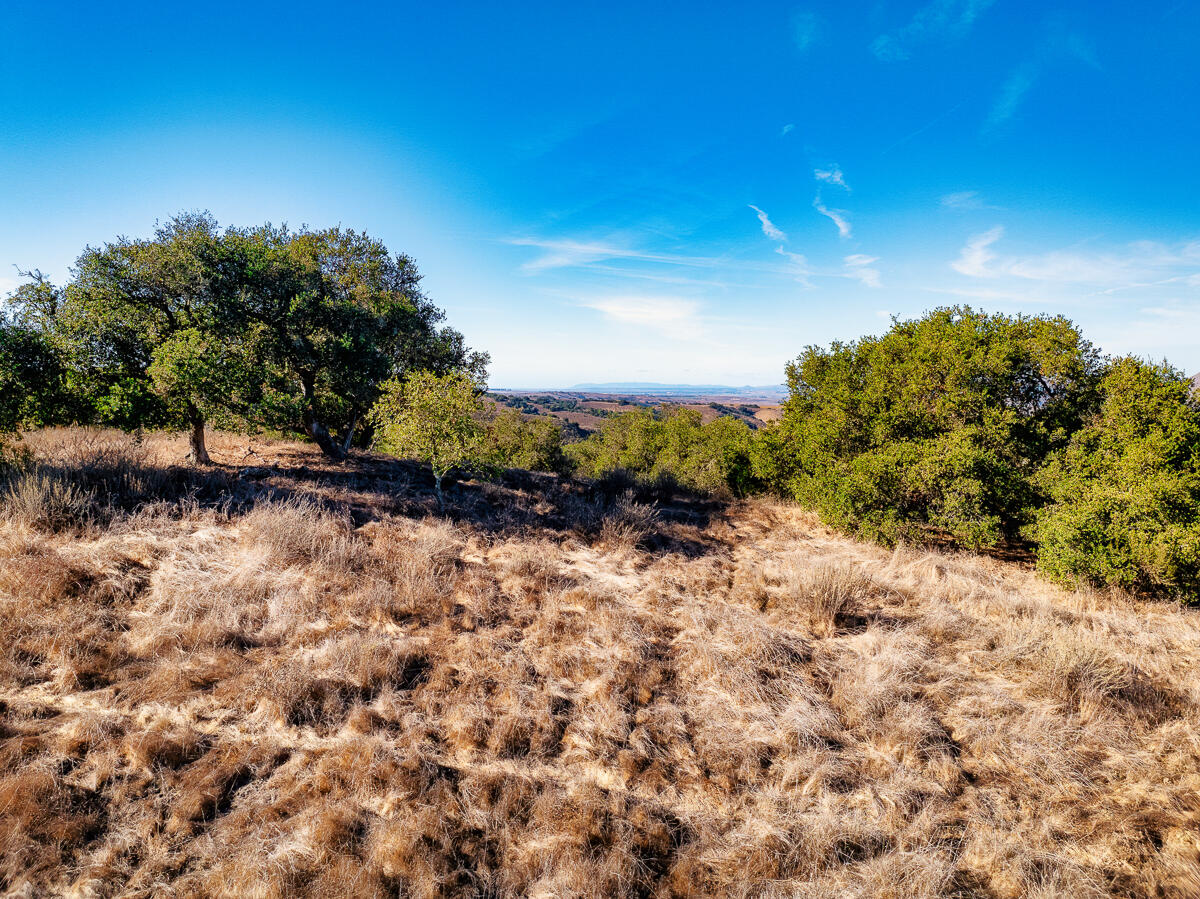 Santa Maria, California 93454, United States, ,Land,Active,35482