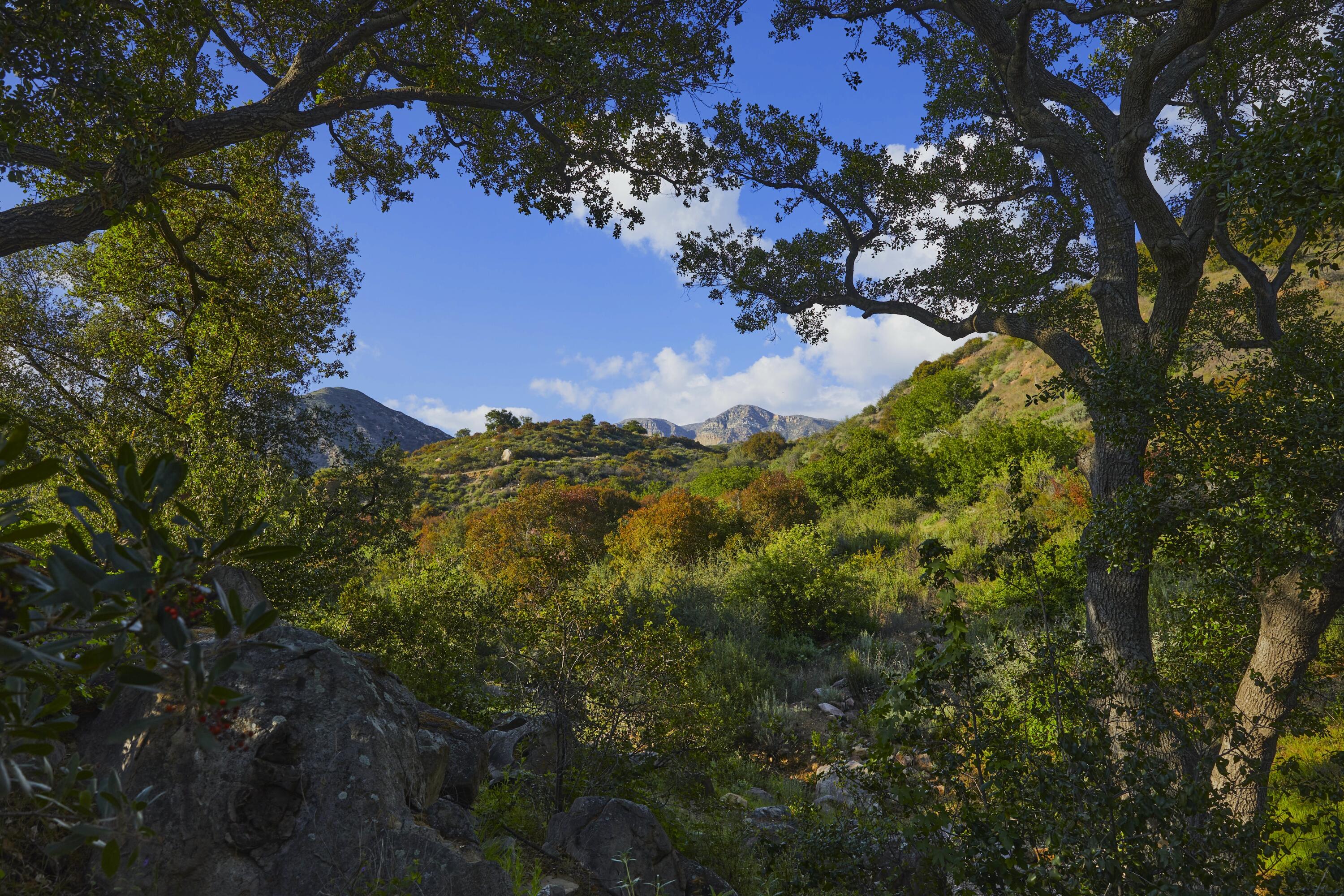 Ojai, California 93023, United States, 4 Bedrooms Bedrooms, ,3 BathroomsBathrooms,Residential,Active,232112