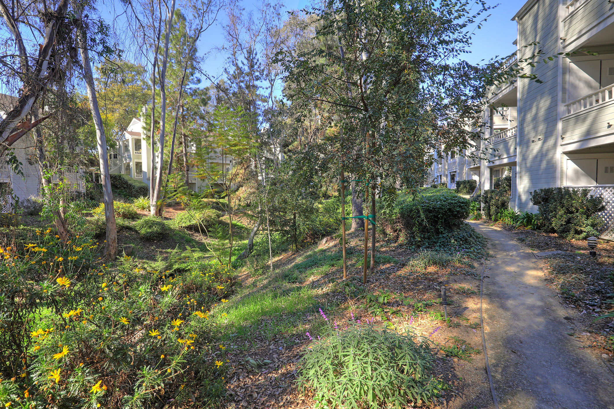 Santa Barbara, California 93117, United States, 2 Bedrooms Bedrooms, ,2 BathroomsBathrooms,Residential,Active,10120