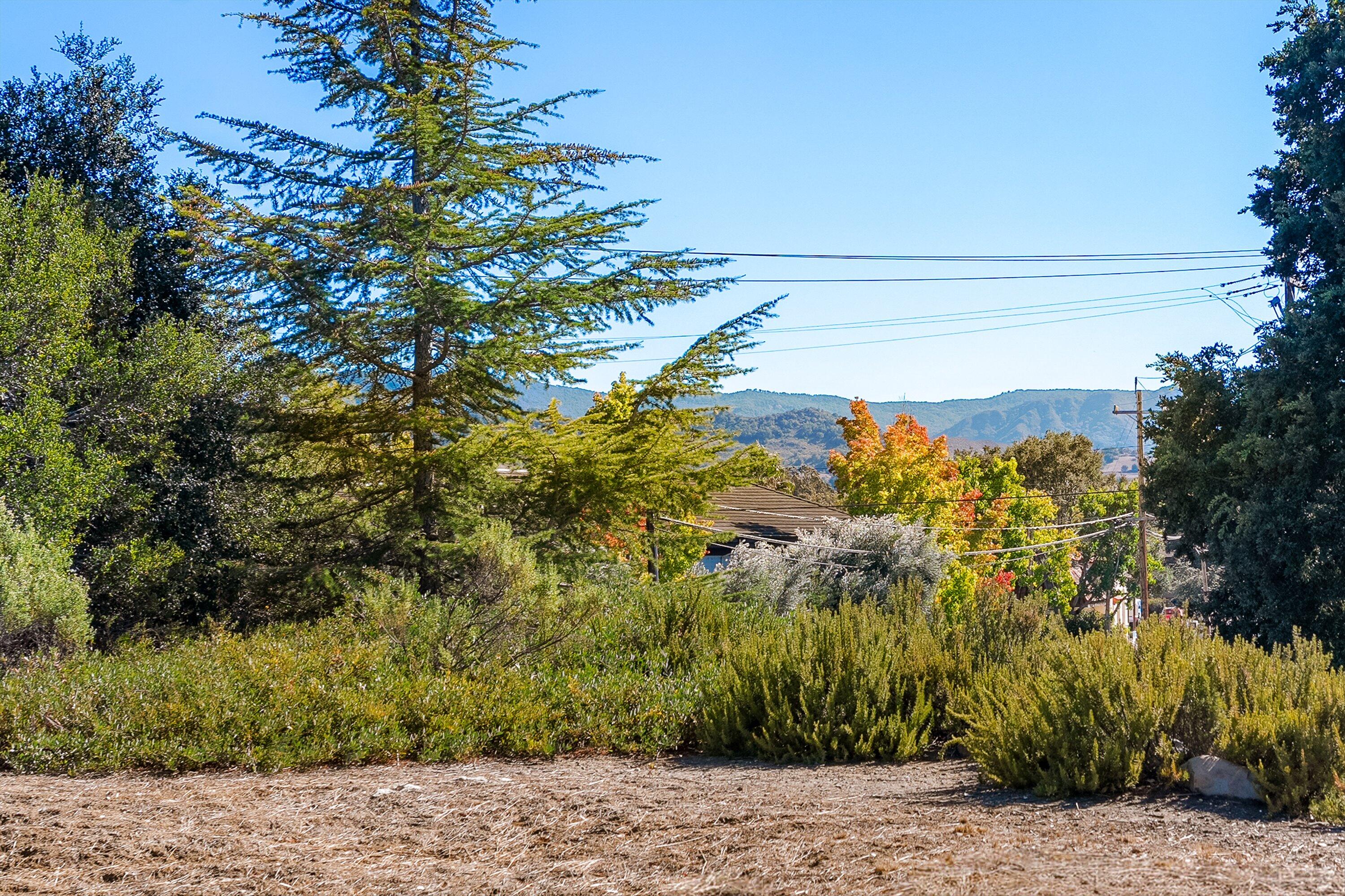 Solvang, California 93463, United States, ,Land,Active,230113