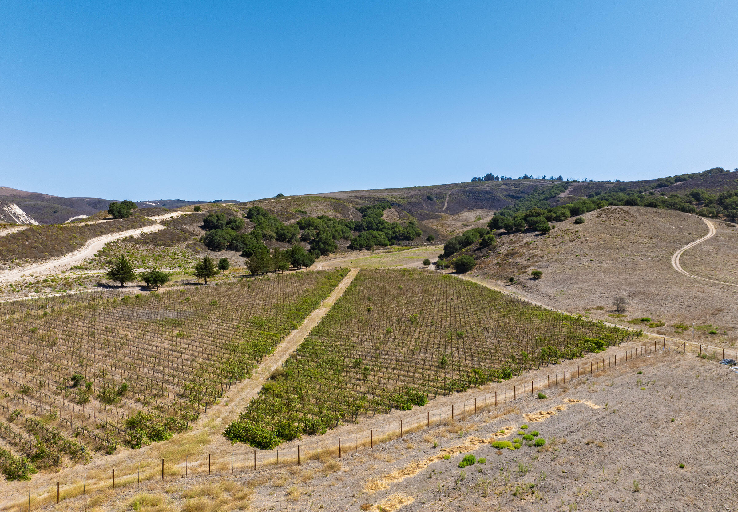 Lompoc, California 93436, United States, 2 Bedrooms Bedrooms, ,2 BathroomsBathrooms,Residential,Active,207107