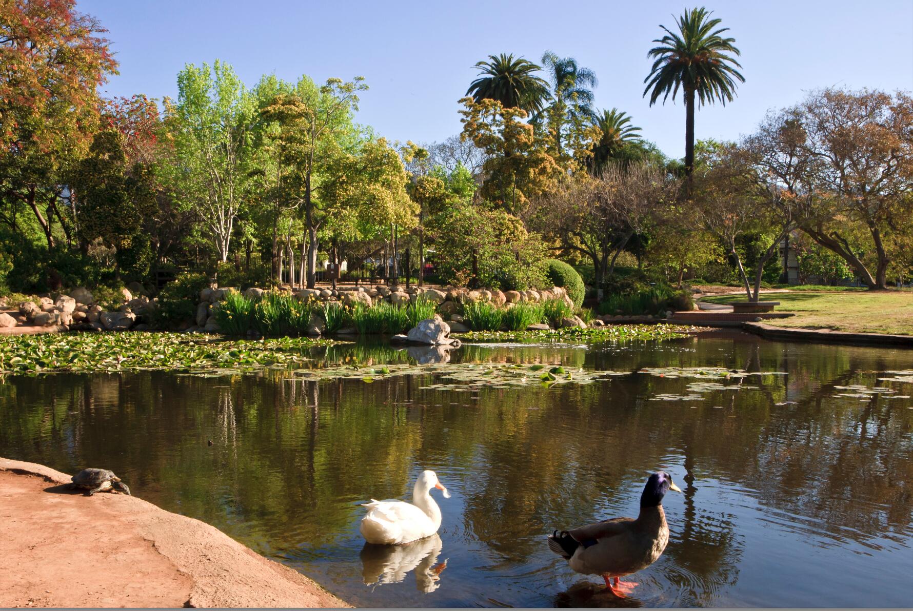 Santa Barbara, California 93101, United States, ,Residential,Active,236082