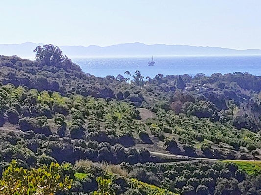 744 VEREDA DEL CIERVO, GOLETA, CA 93117 - Image d367e23dcf54b4bd5113b800d120832b/4183240399