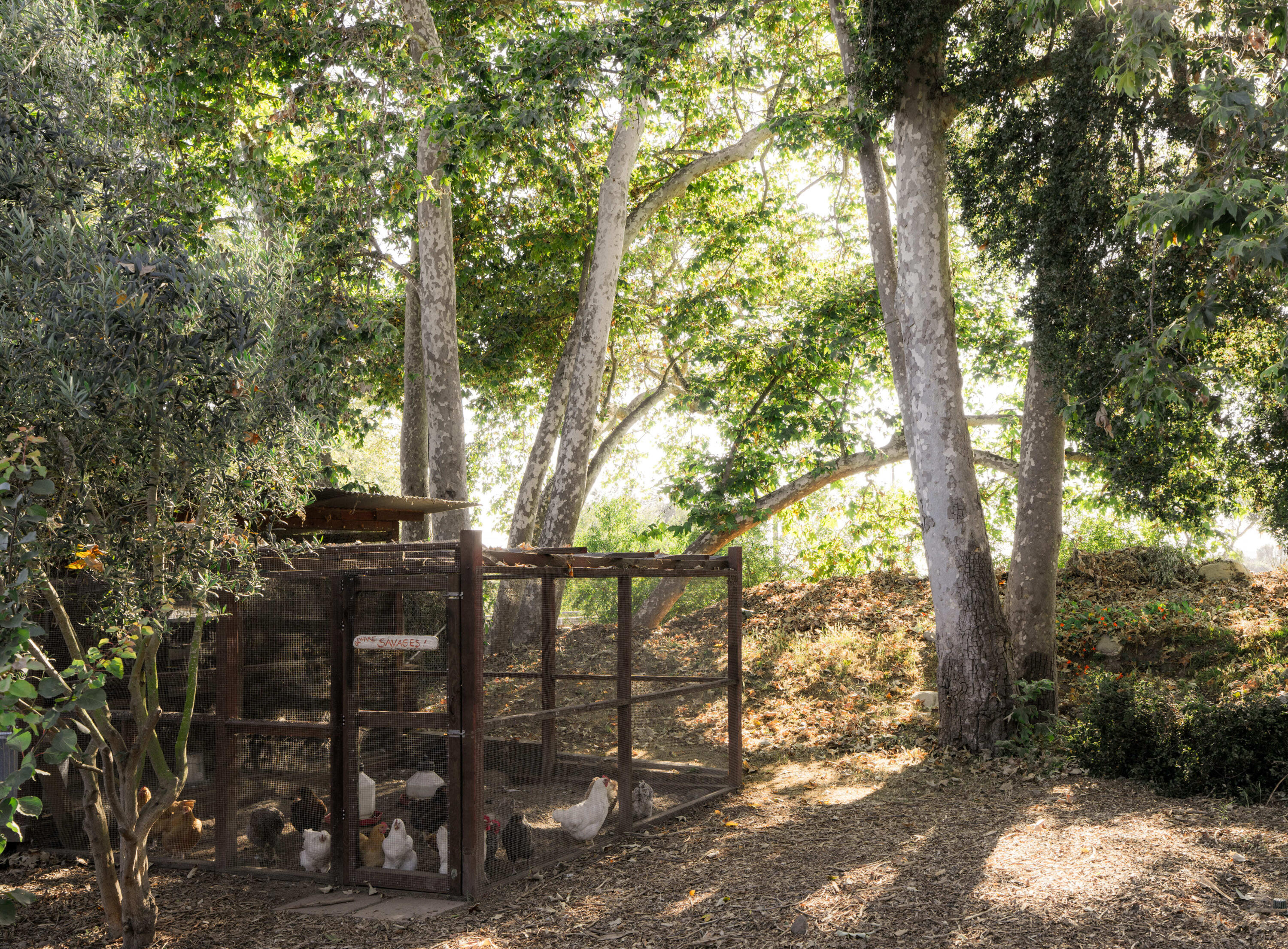 Carpinteria, California 93013, United States, 6 Bedrooms Bedrooms, ,4 BathroomsBathrooms,Residential,Pending,176261