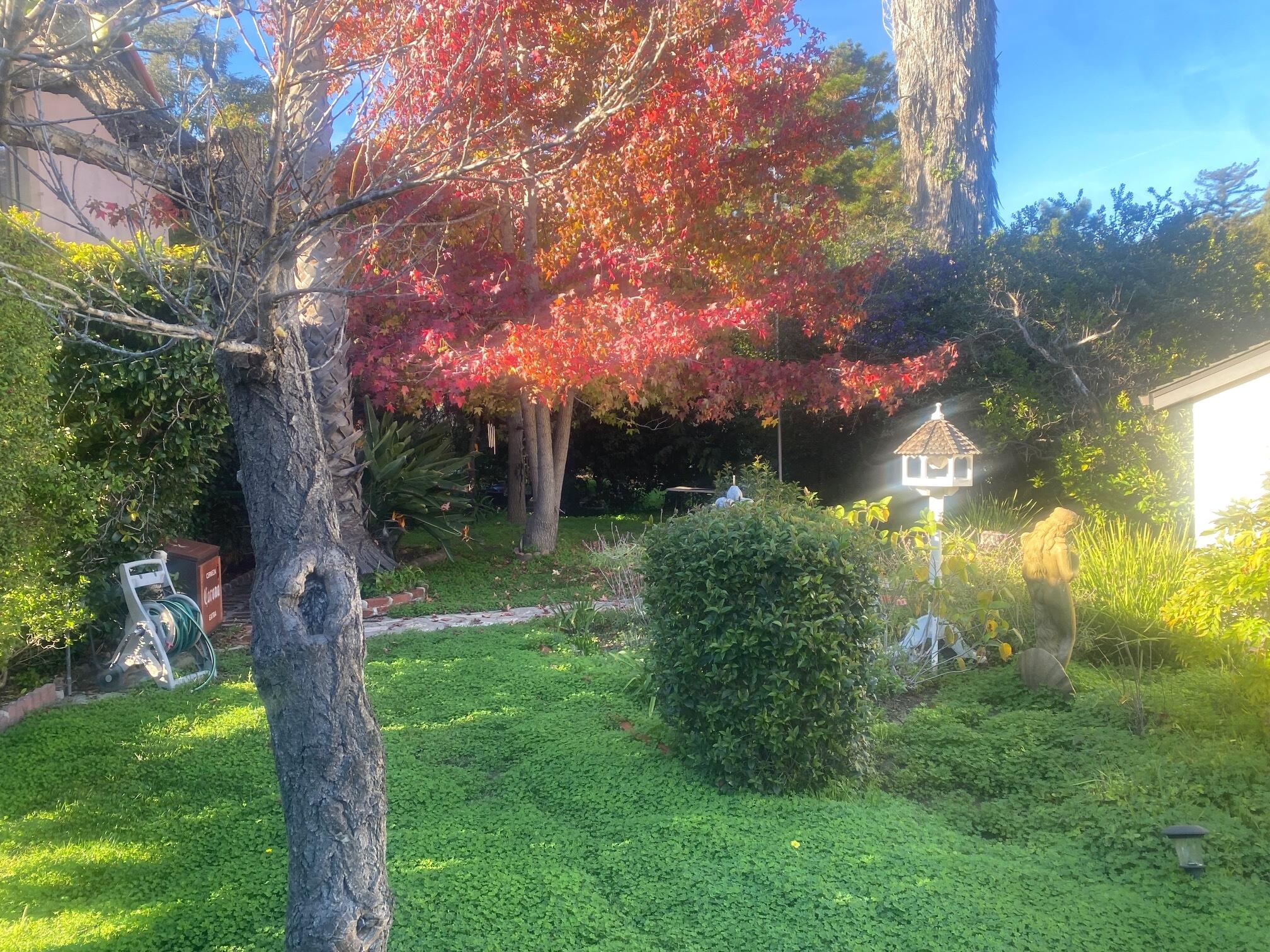 Santa Barbara, California 93105, United States, 3 Bedrooms Bedrooms, ,2 BathroomsBathrooms,Residential,Active,249490