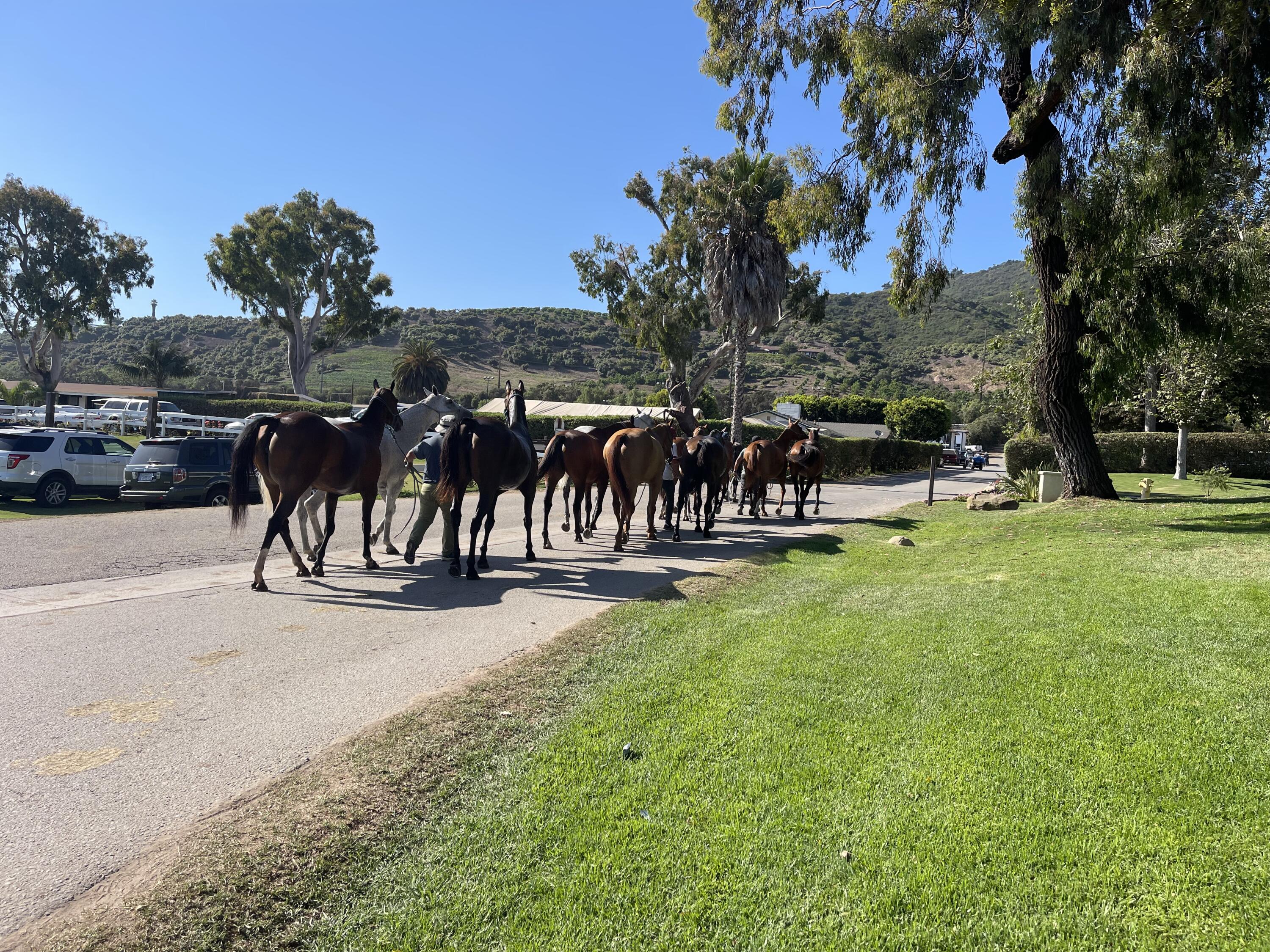 Carpinteria, California 93013, United States, 2 Bedrooms Bedrooms, ,2 BathroomsBathrooms,Residential,Active,164532