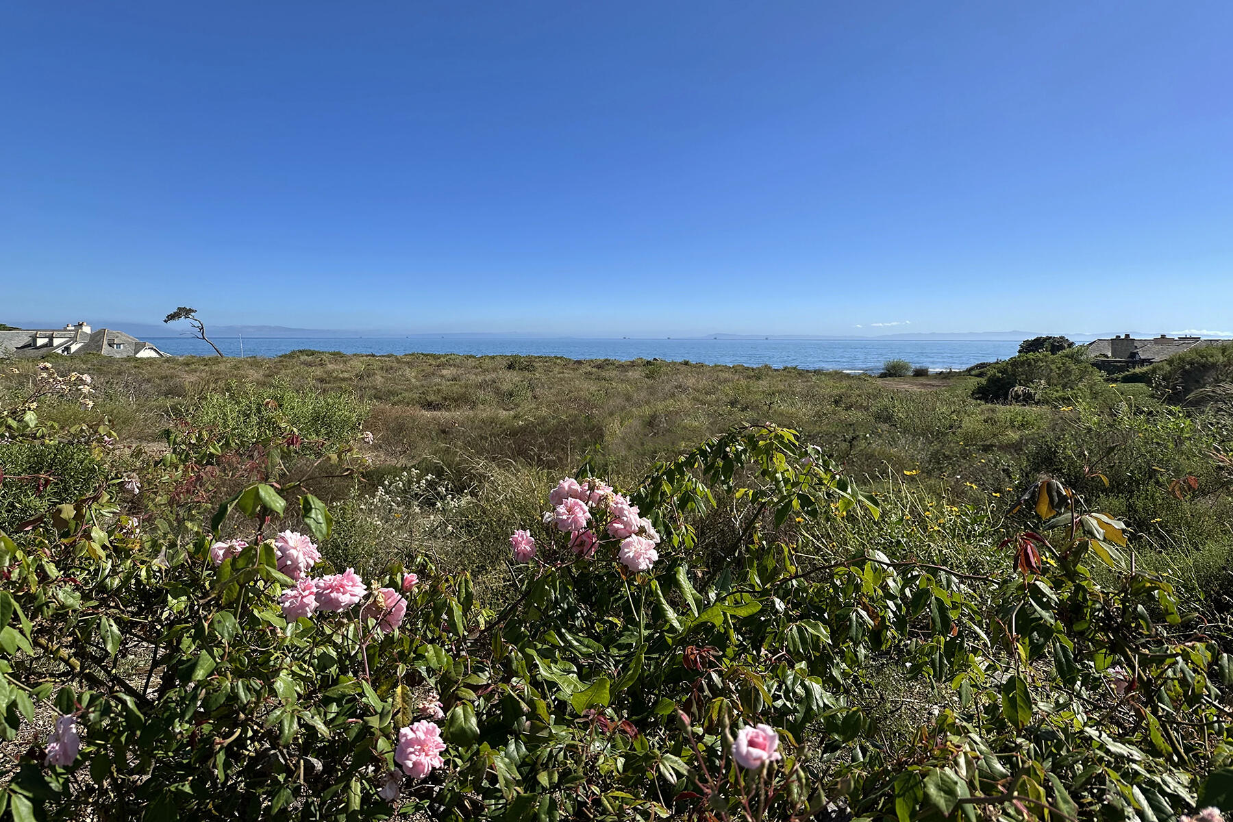 Santa Barbara, California 93108, United States, 2 Bedrooms Bedrooms, ,2 BathroomsBathrooms,Residential,Active,207707