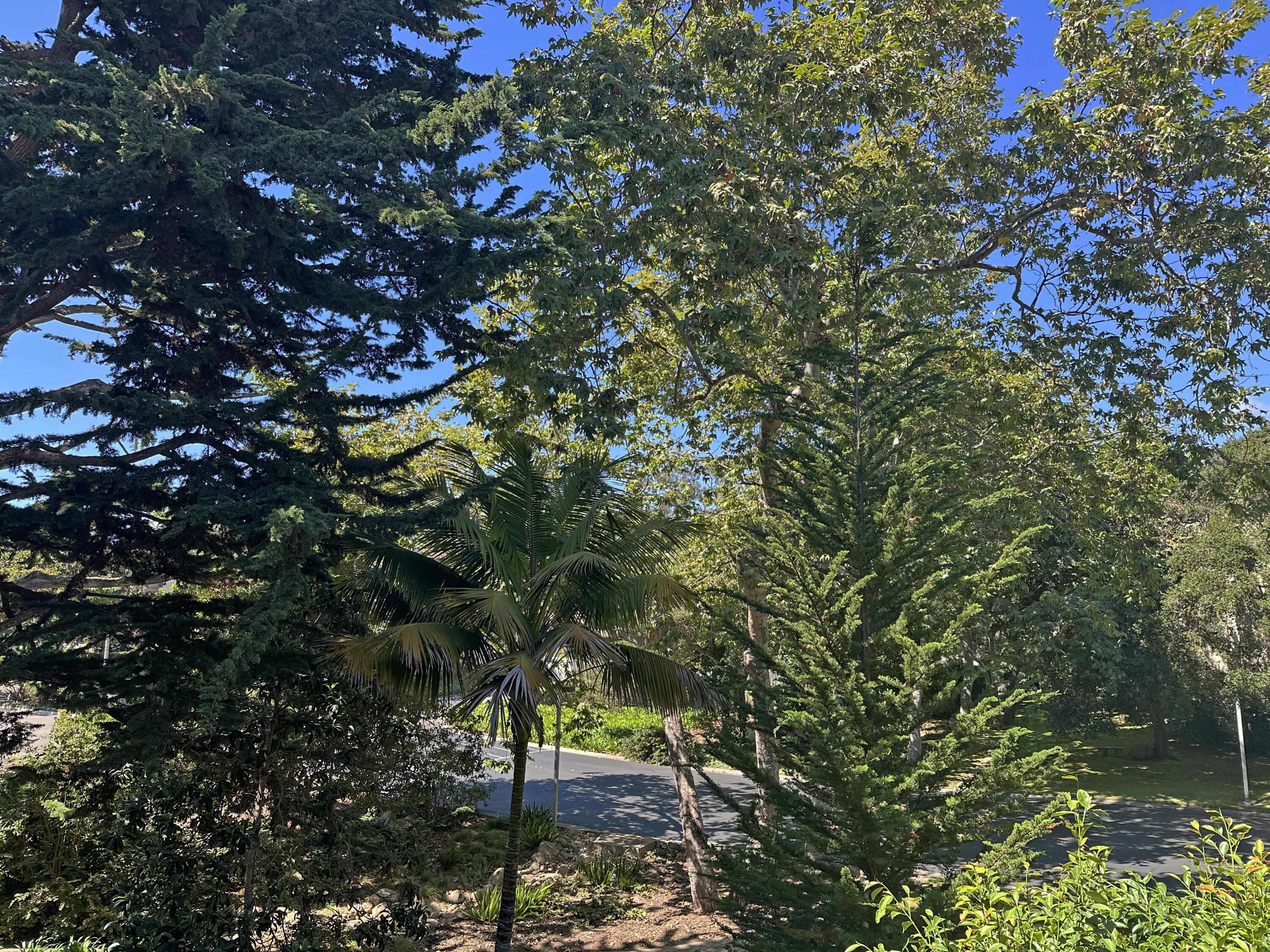 Santa Barbara, California 93108, United States, 2 Bedrooms Bedrooms, ,2 BathroomsBathrooms,Residential,Active,207707