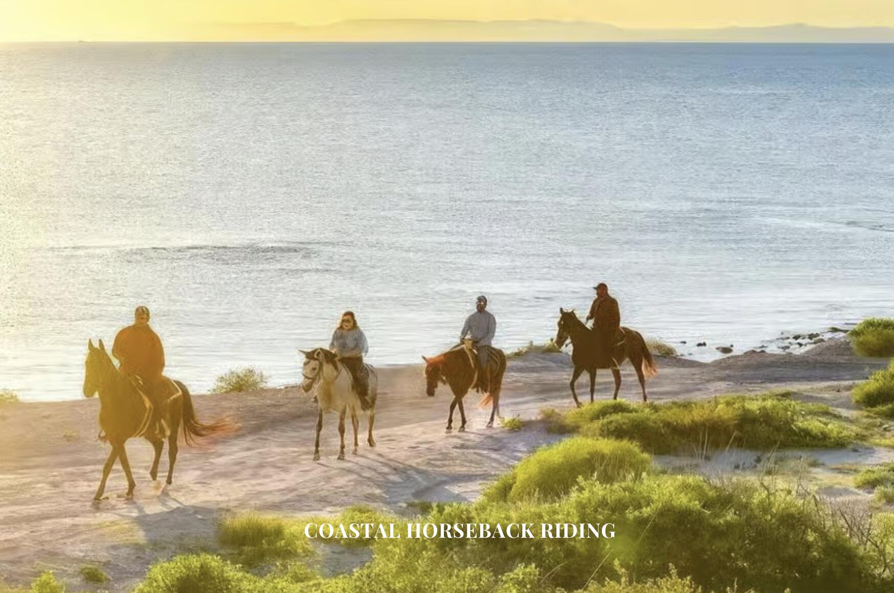 Summerland, California 93067, United States, 6 Bedrooms Bedrooms, ,9 BathroomsBathrooms,Residential,Active,125192