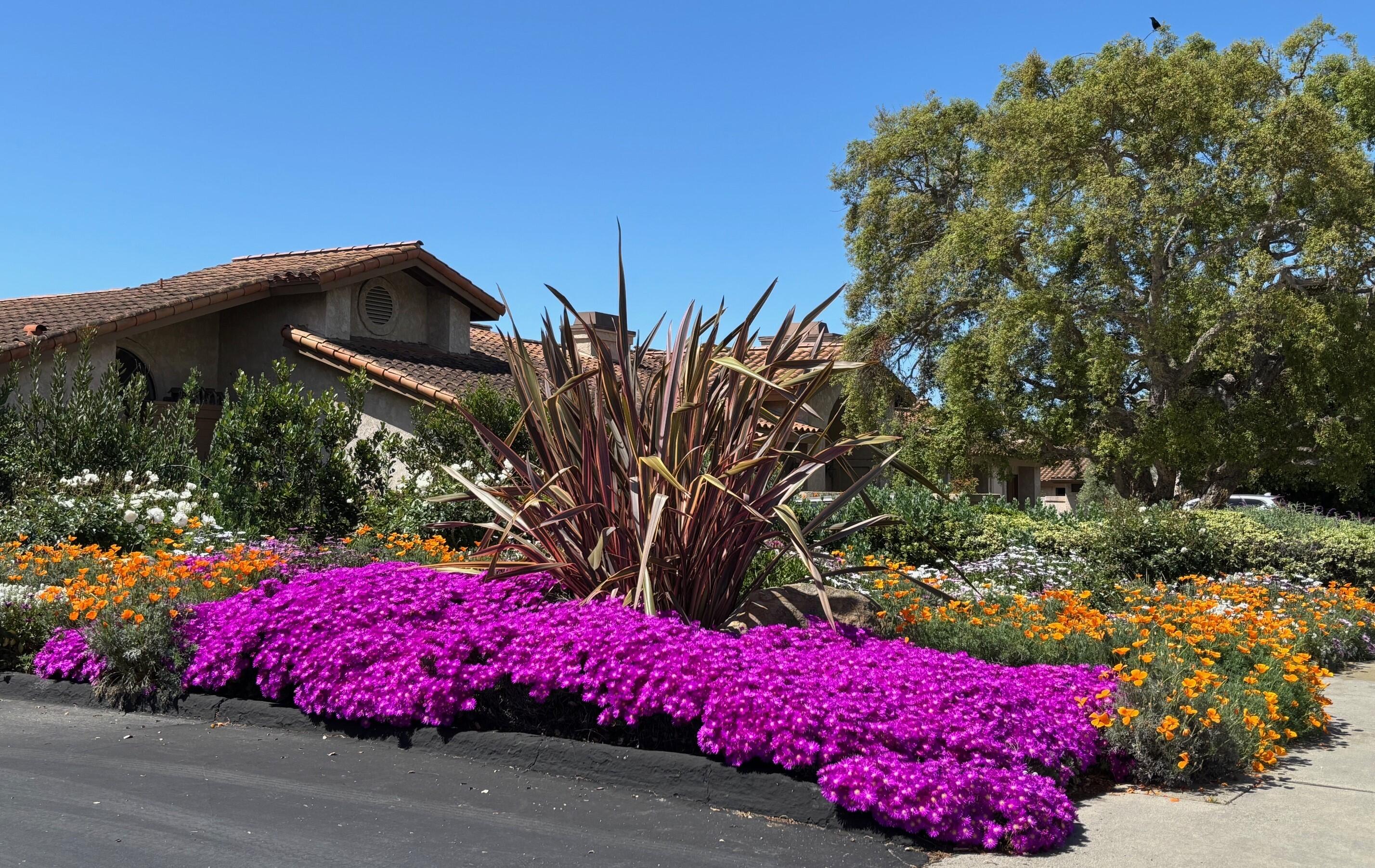 Santa Barbara, California 93111, United States, 2 Bedrooms Bedrooms, ,2 BathroomsBathrooms,Residential,Pending,129718