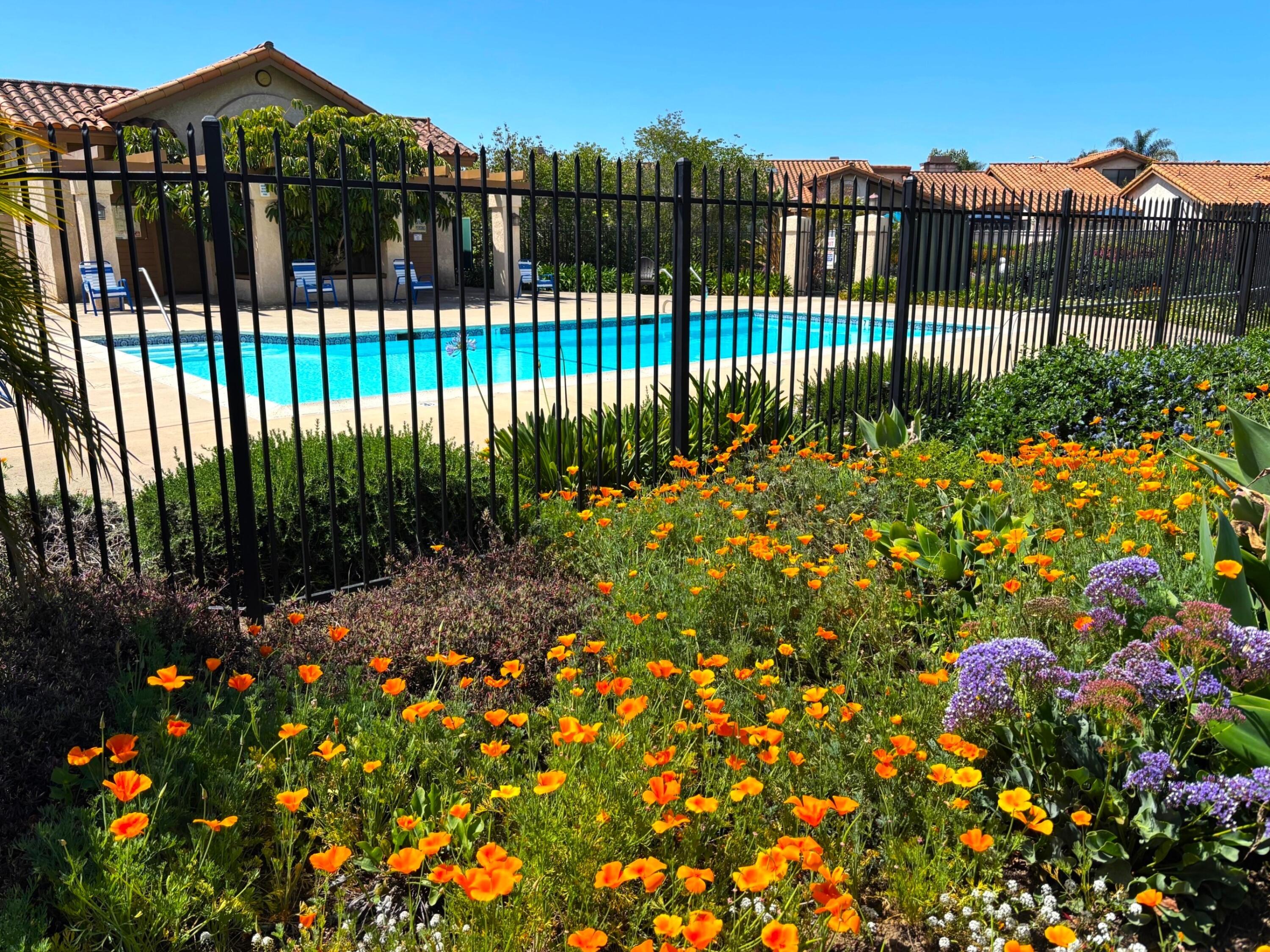 Santa Barbara, California 93111, United States, 2 Bedrooms Bedrooms, ,2 BathroomsBathrooms,Residential,Pending,129718